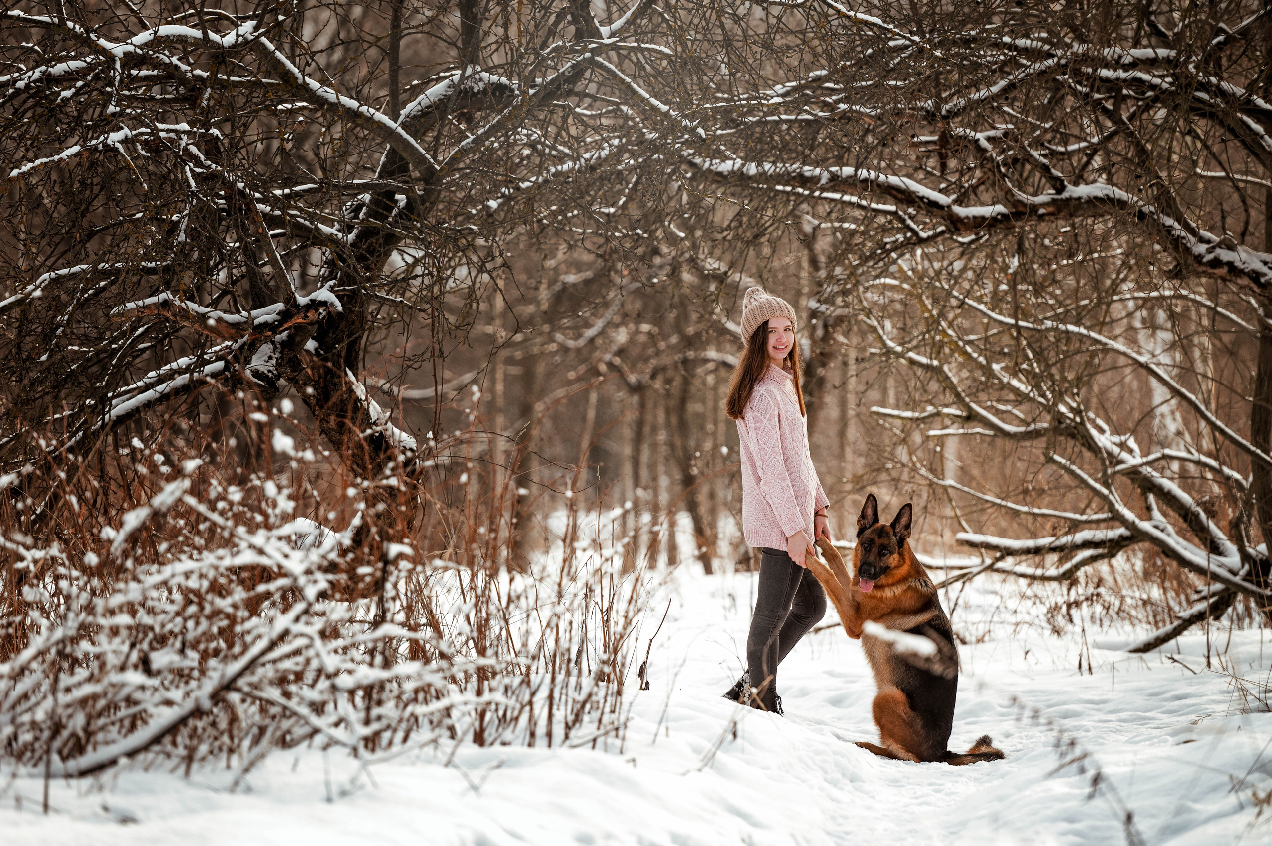 Вольт. Фотограф-анималист
