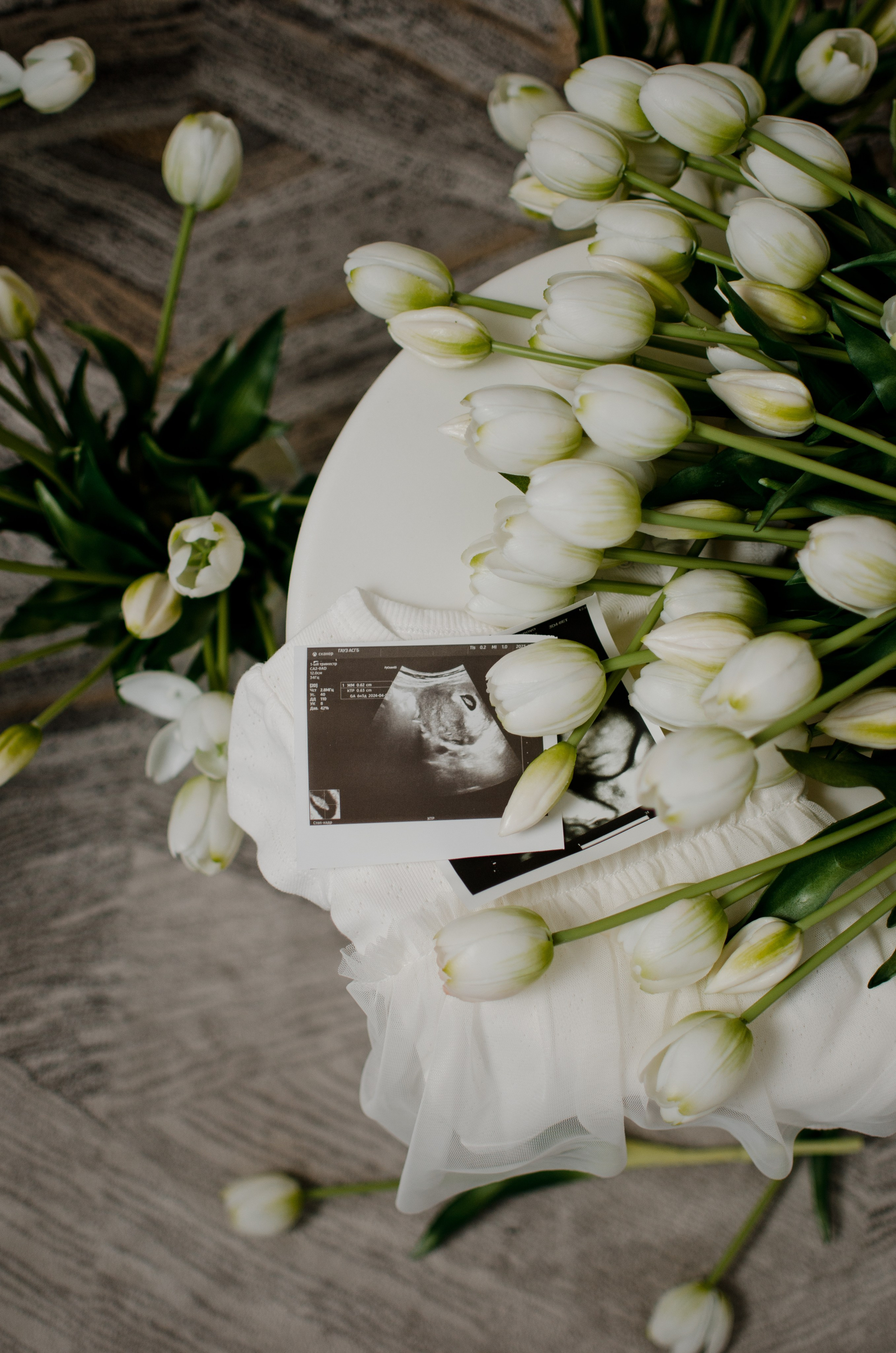 . Фотограф в Кемерово, Ольга Гаврилова