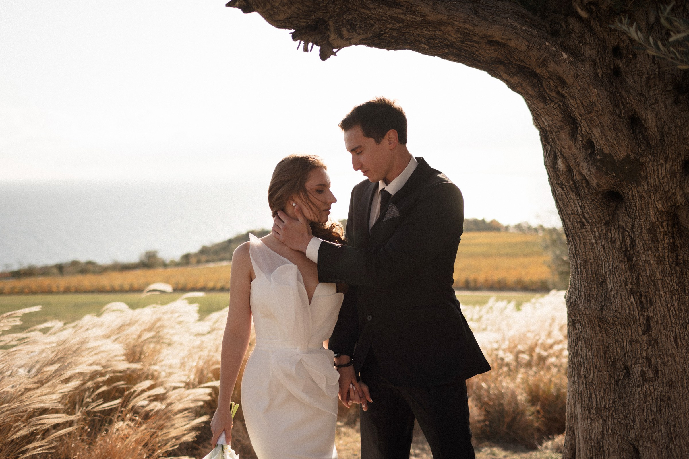 Мрия. Sovushka DS