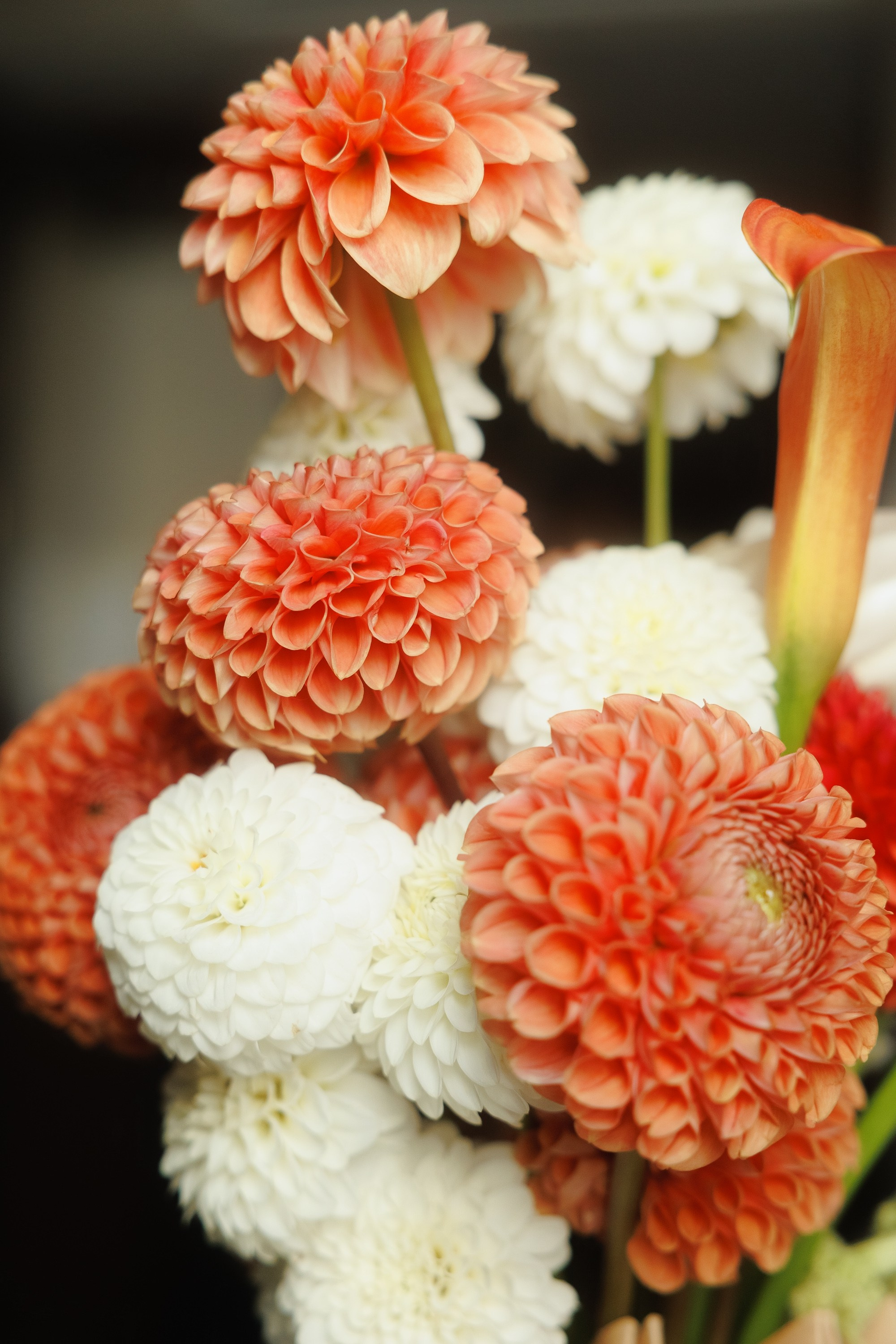 Яна и Павел. Свадебный фотограф в Нижнем Новгороде и Москве Николай Майоров