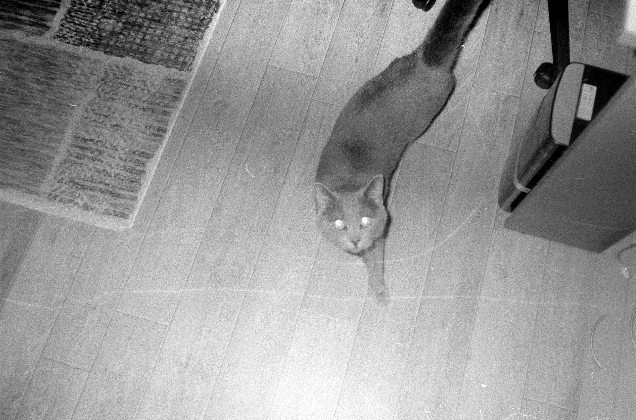 Плёнка весна-лето 2025. Ирина Чернова — портретный фотограф и маркетолог из Владивостока