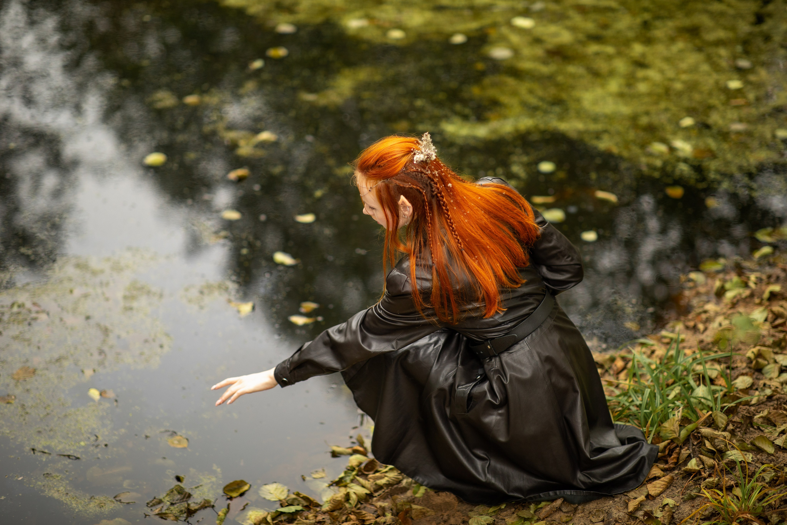 Волшебный лес