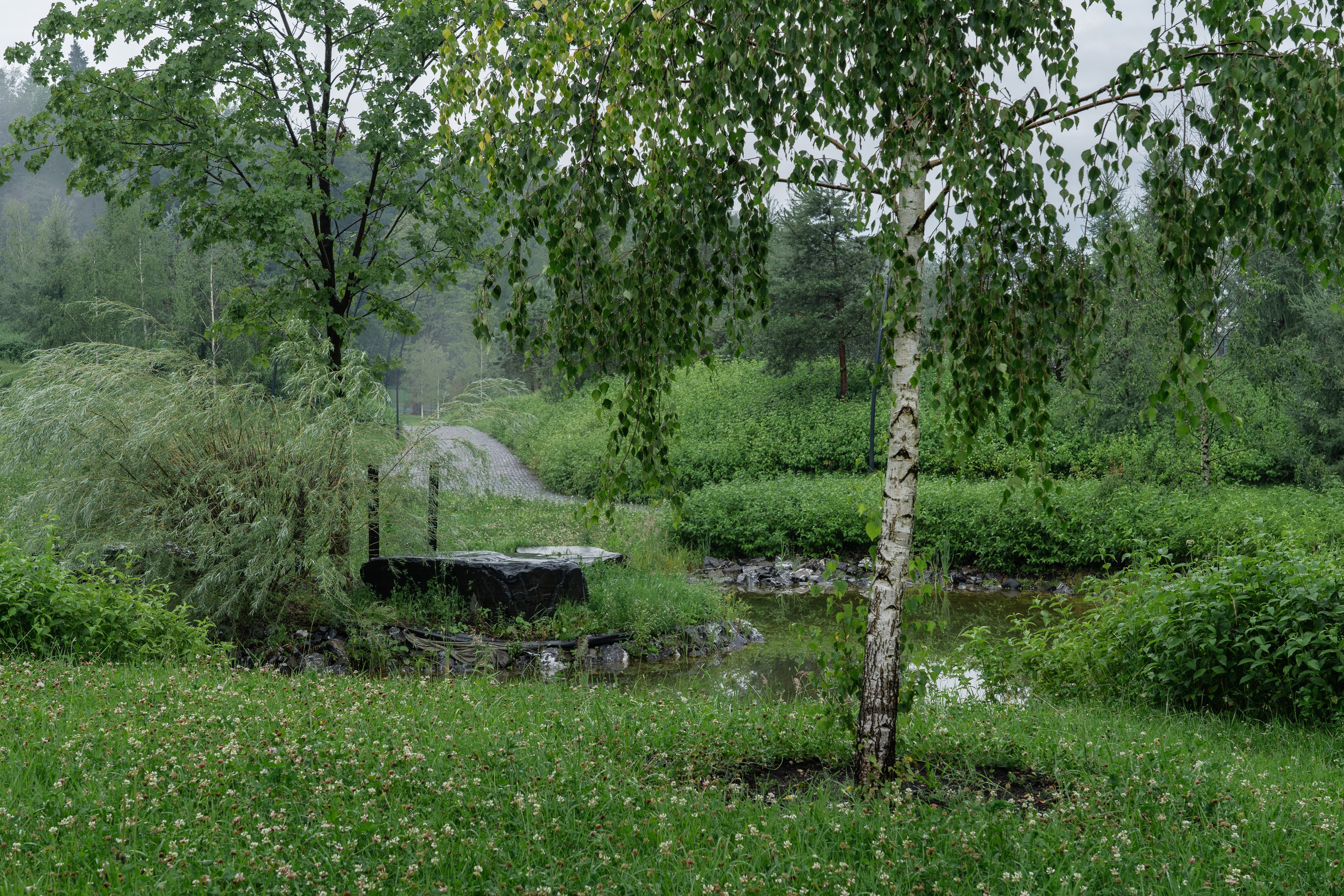 Trailway of health