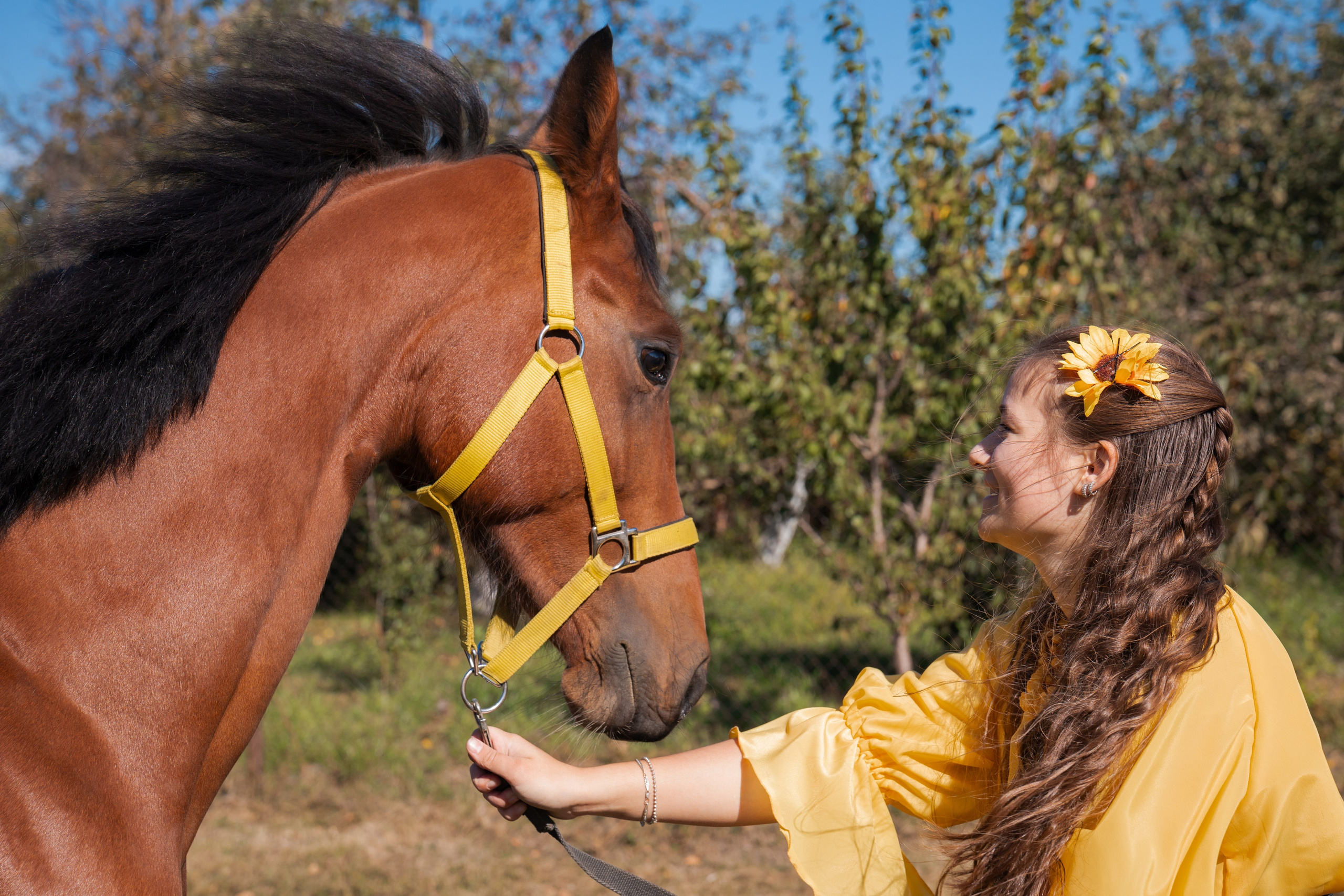 Фотосессия с лошадьми