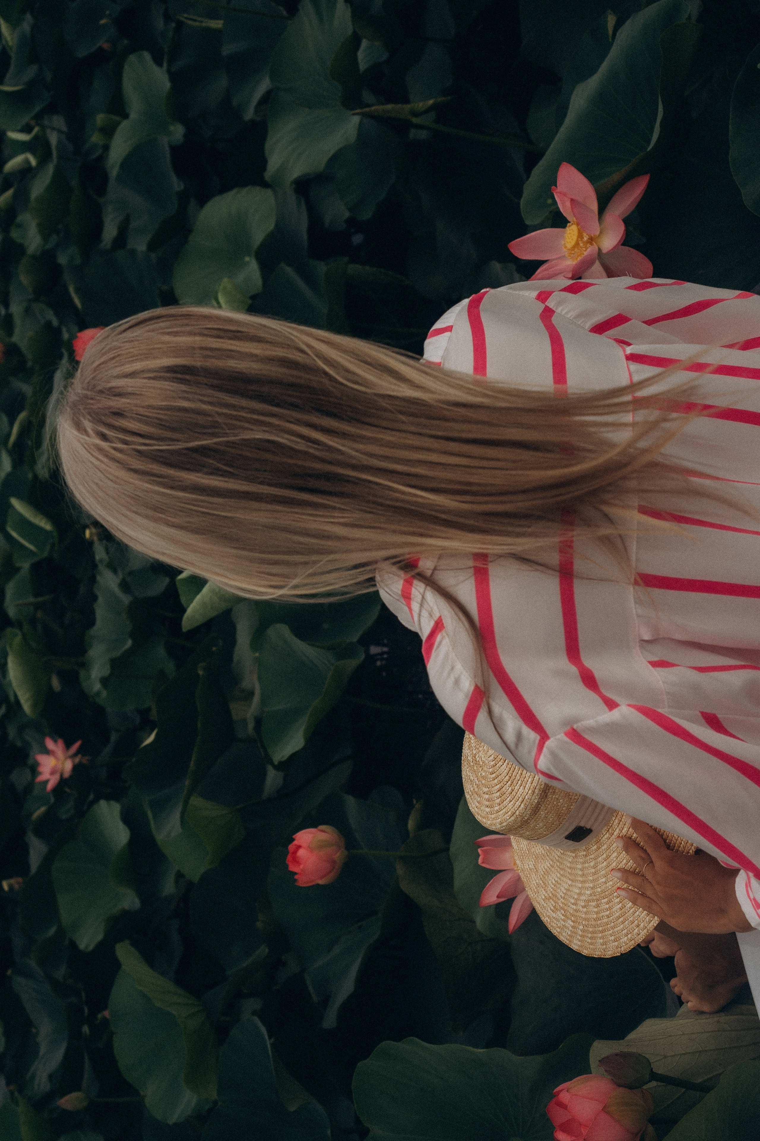 ЛОТОСОВАЯ ПОЛЯНА. Профессиональный фотограф, Санкт-Петербург — Виктория Богомолова