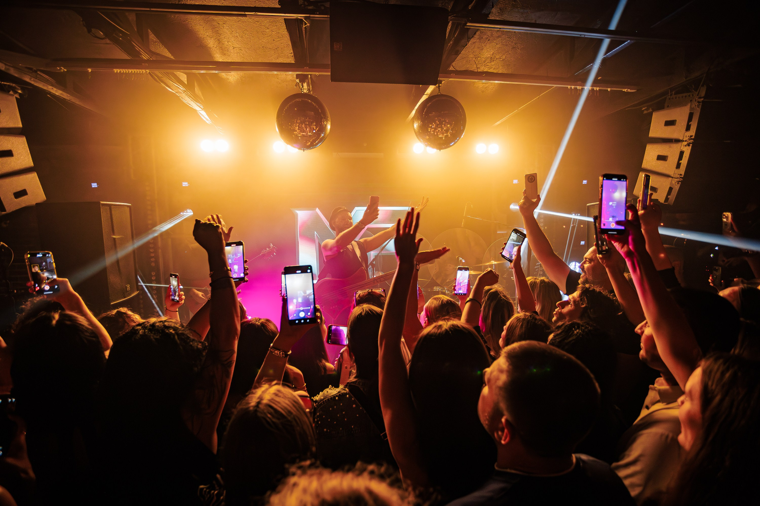 «Митя Фомин"_Чайка на пляже_Ялта_28.06.2025 г. Аминов Руслан | Фотограф