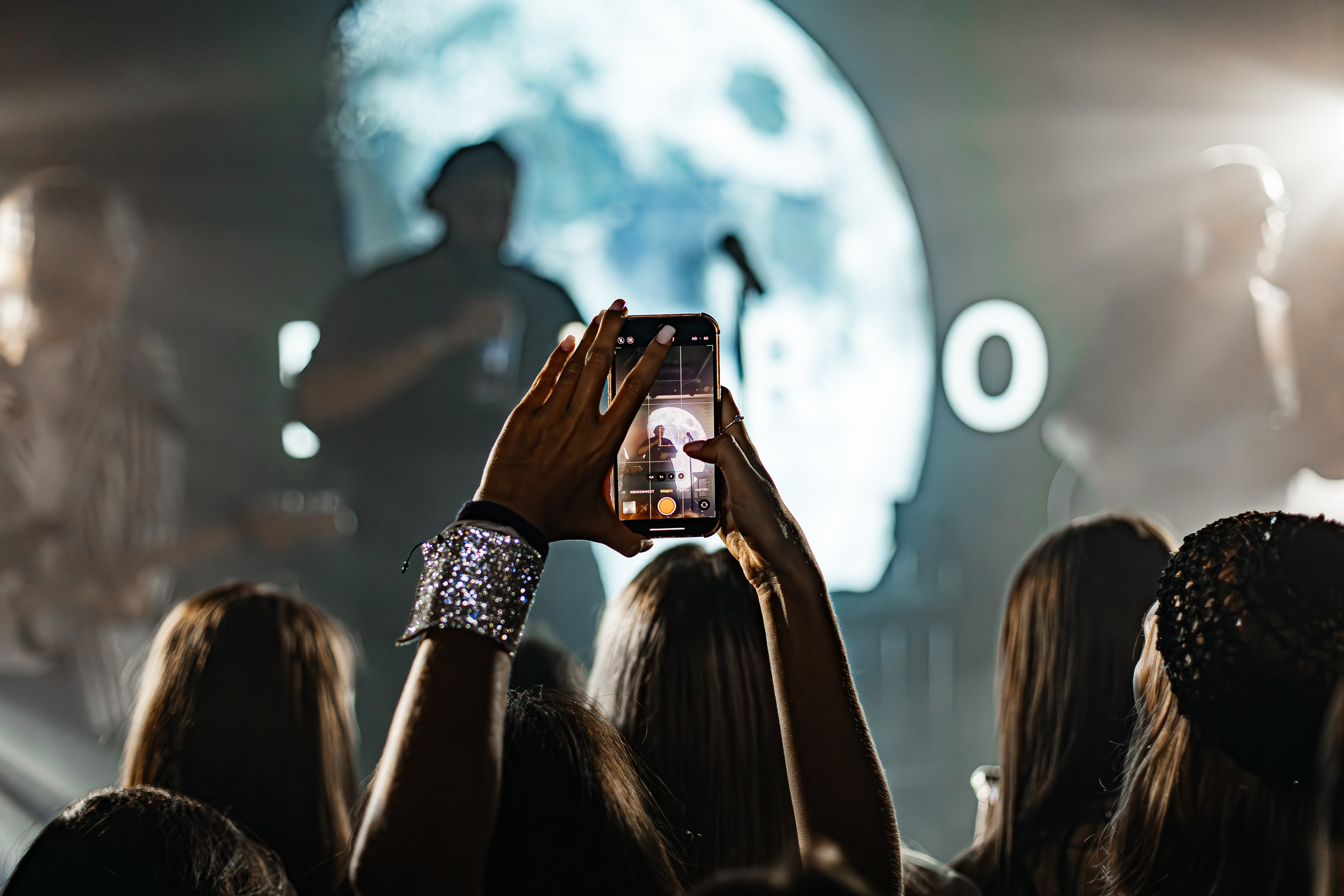 Чайка_на_пляже_Андро_Ялта_24.08.2024. Аминов Руслан | Фотограф