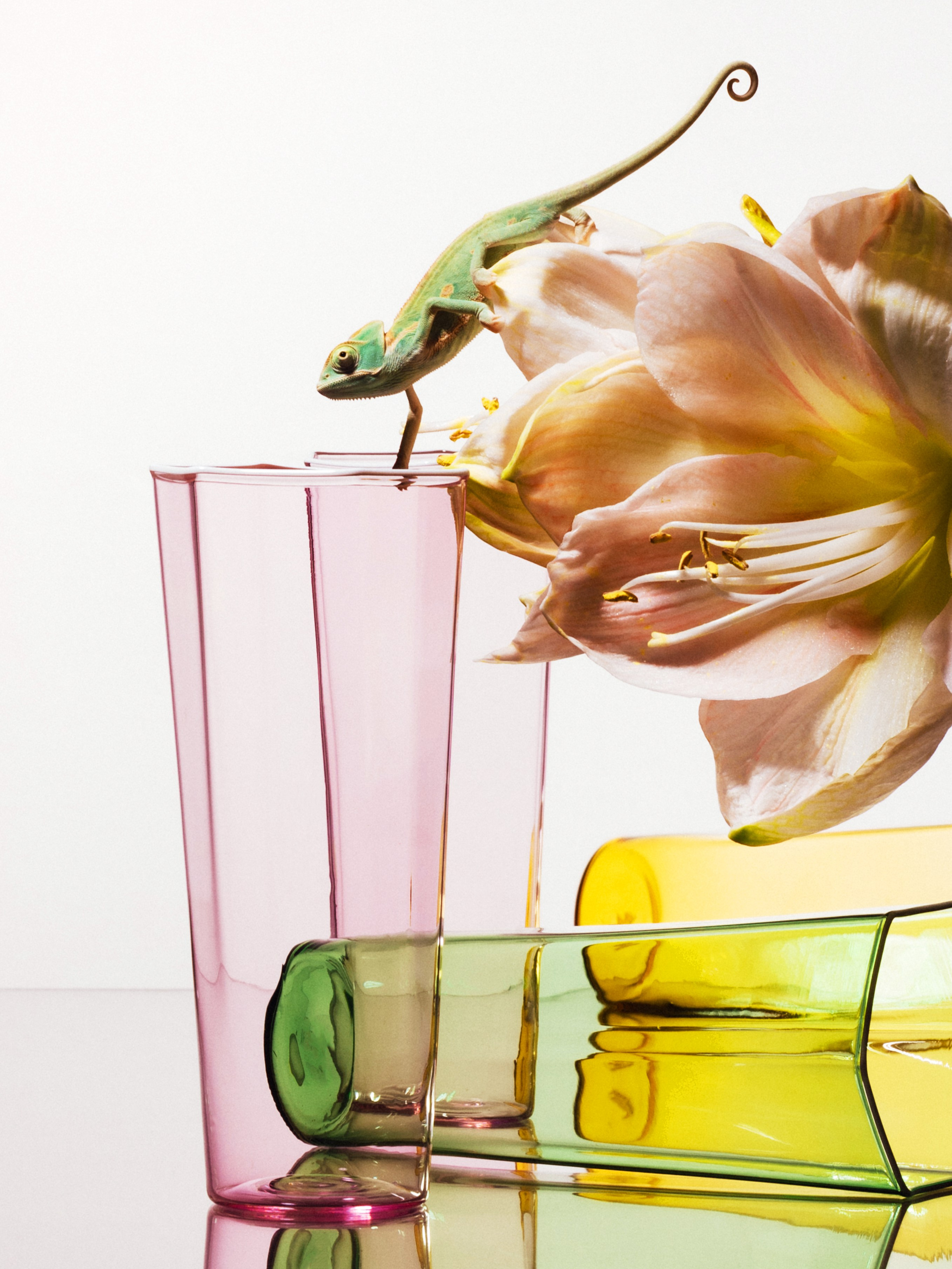 ORDO. Сет дизайнер предметный фотограф в Москве Анна Андреева