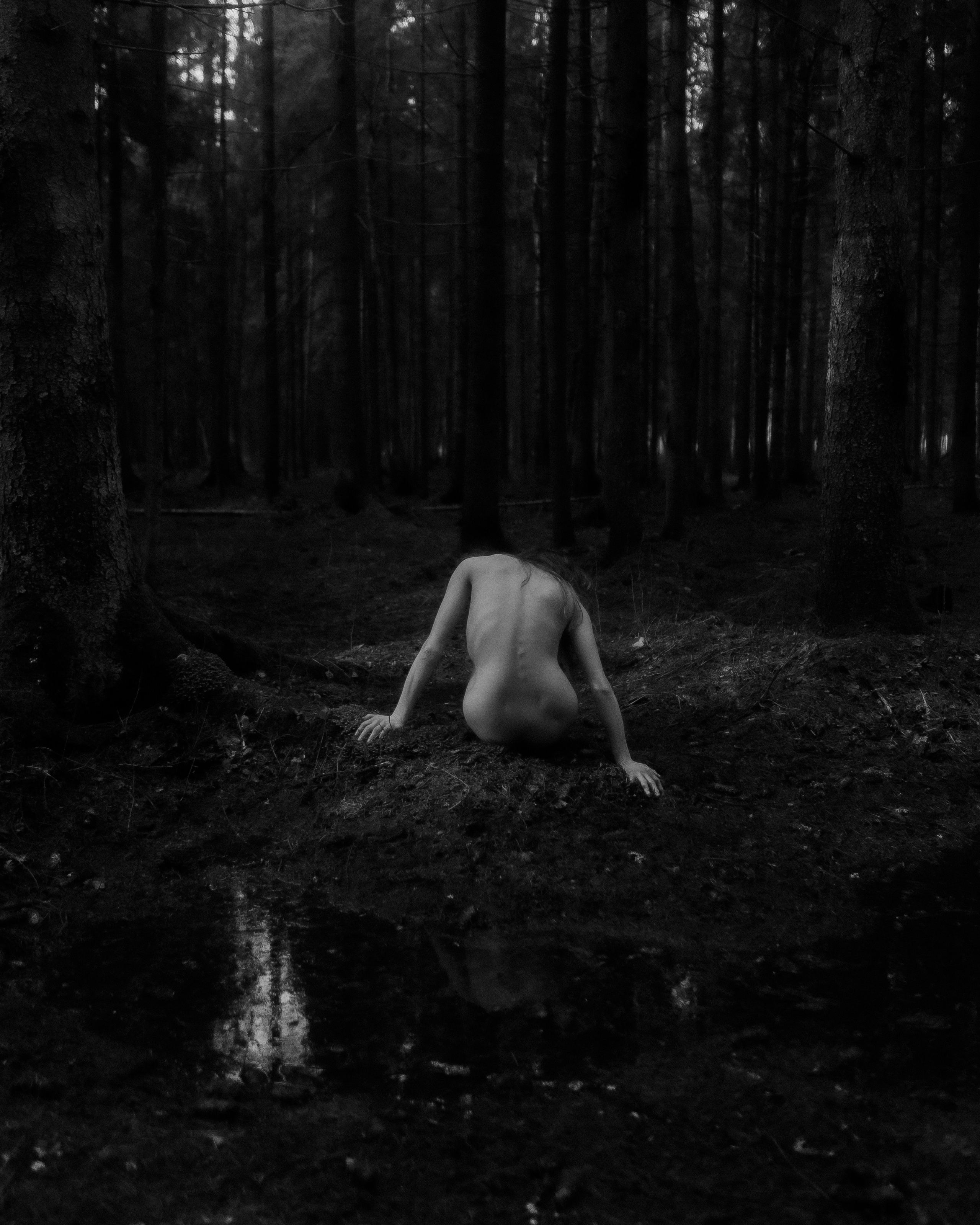 Чёрно-белая будуарная фотография в лесу, эстетика формы и света, Санкт-Петербург