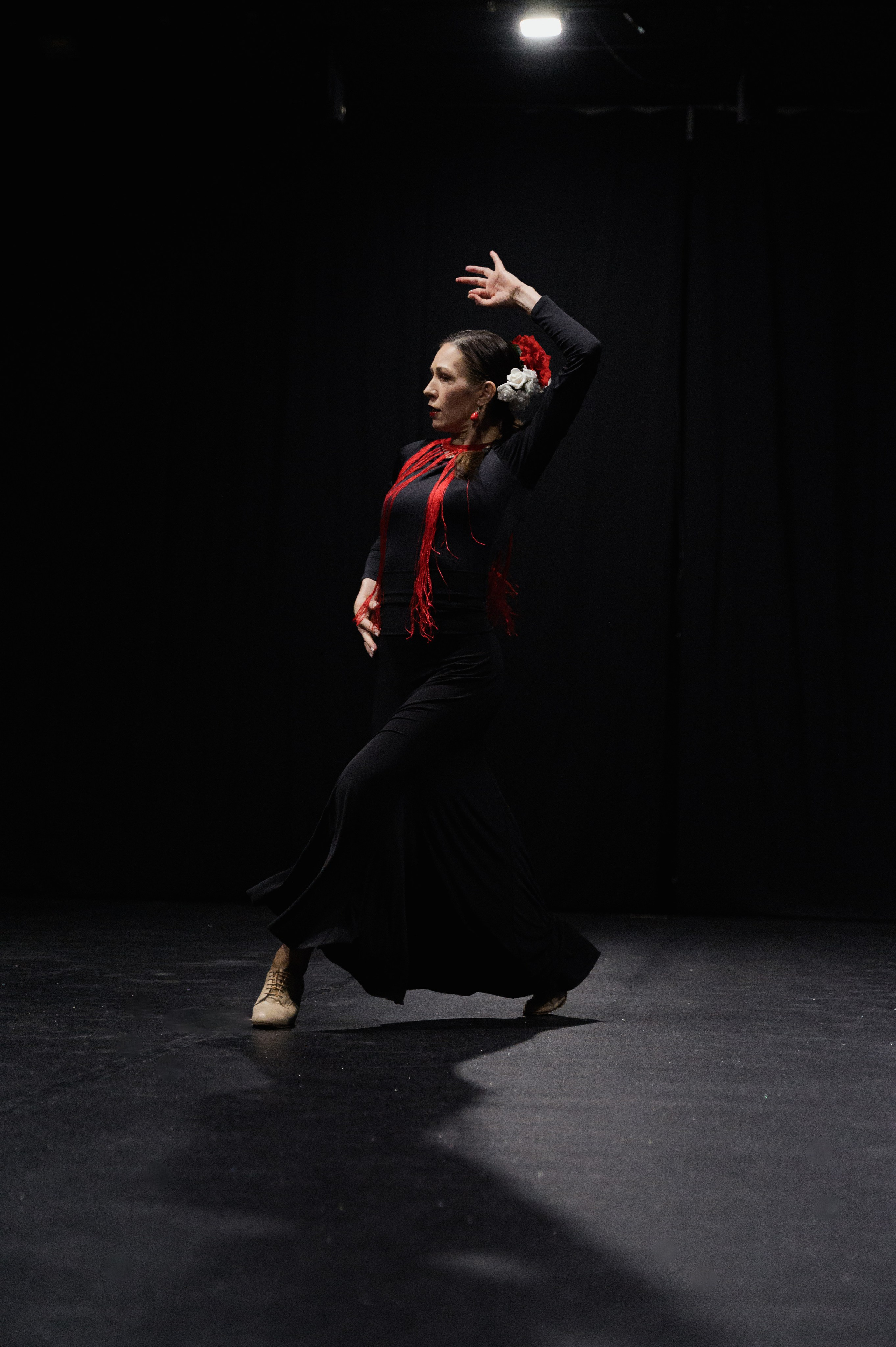 Концерт школы фламенко Los Tacones. Елена Чеснокова спортивный фотограф во Владимире и Белграде