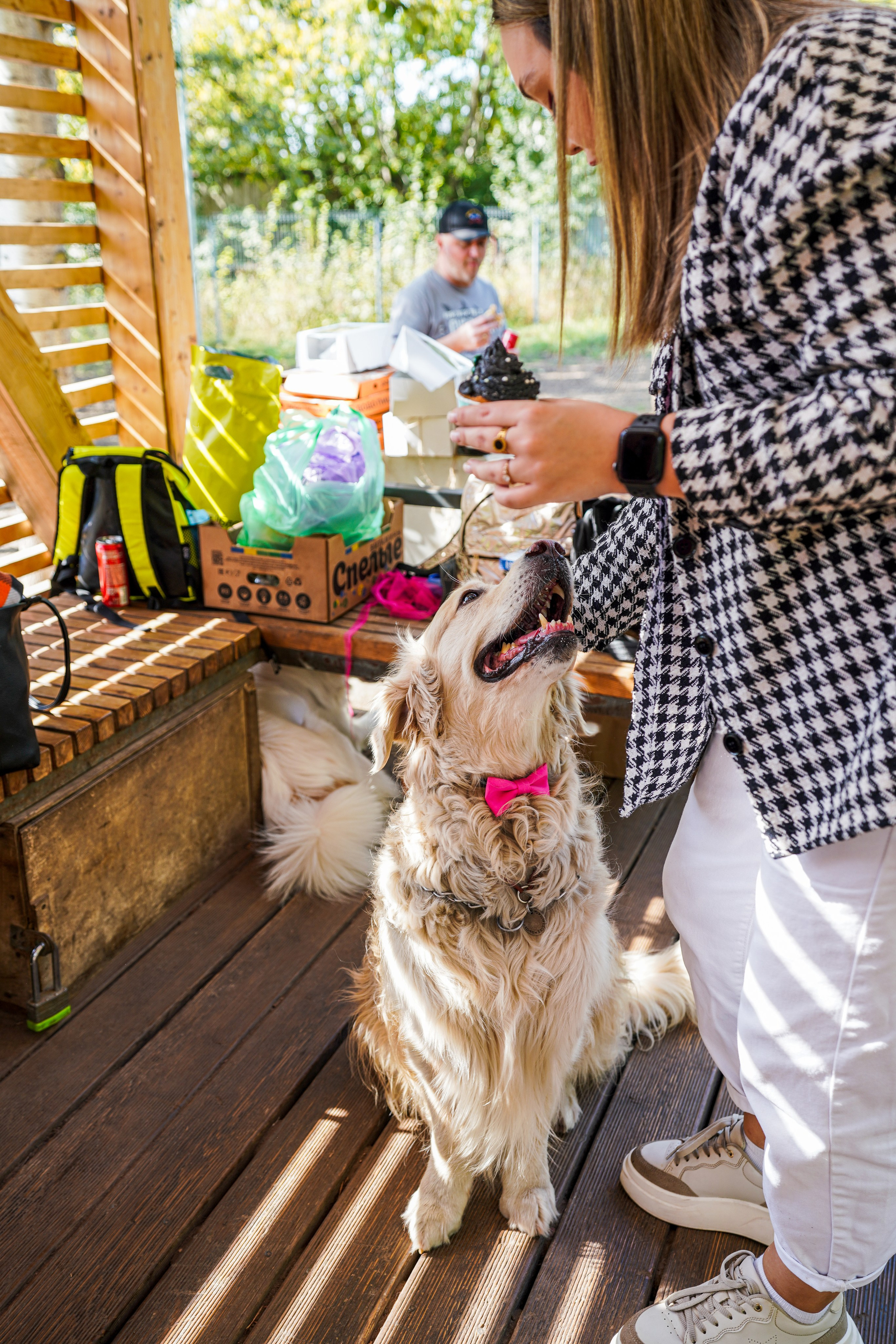 ДР собаки по имени Моррис :). Фотограф Казань