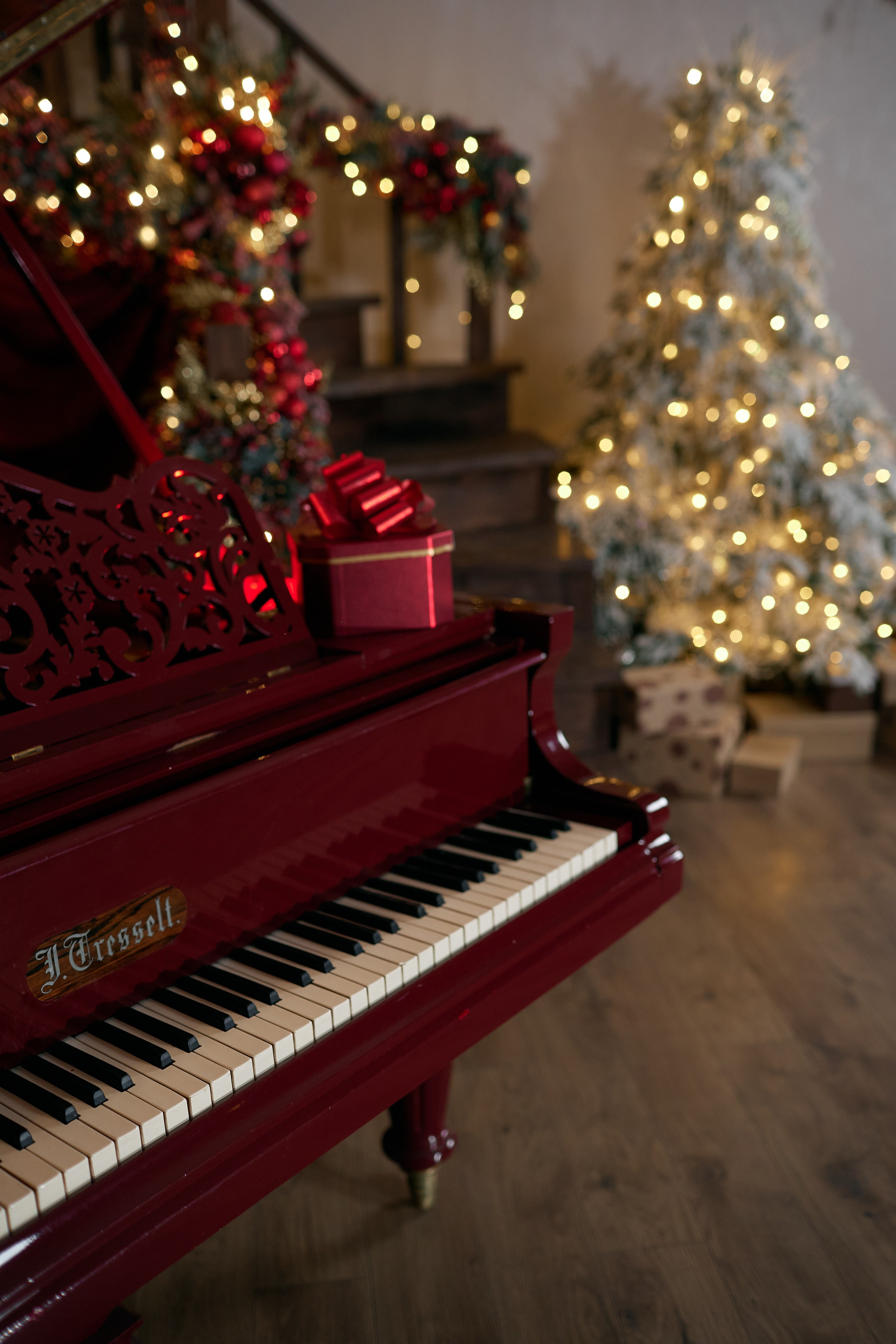 Фотостудия в Калуге Svetstudio