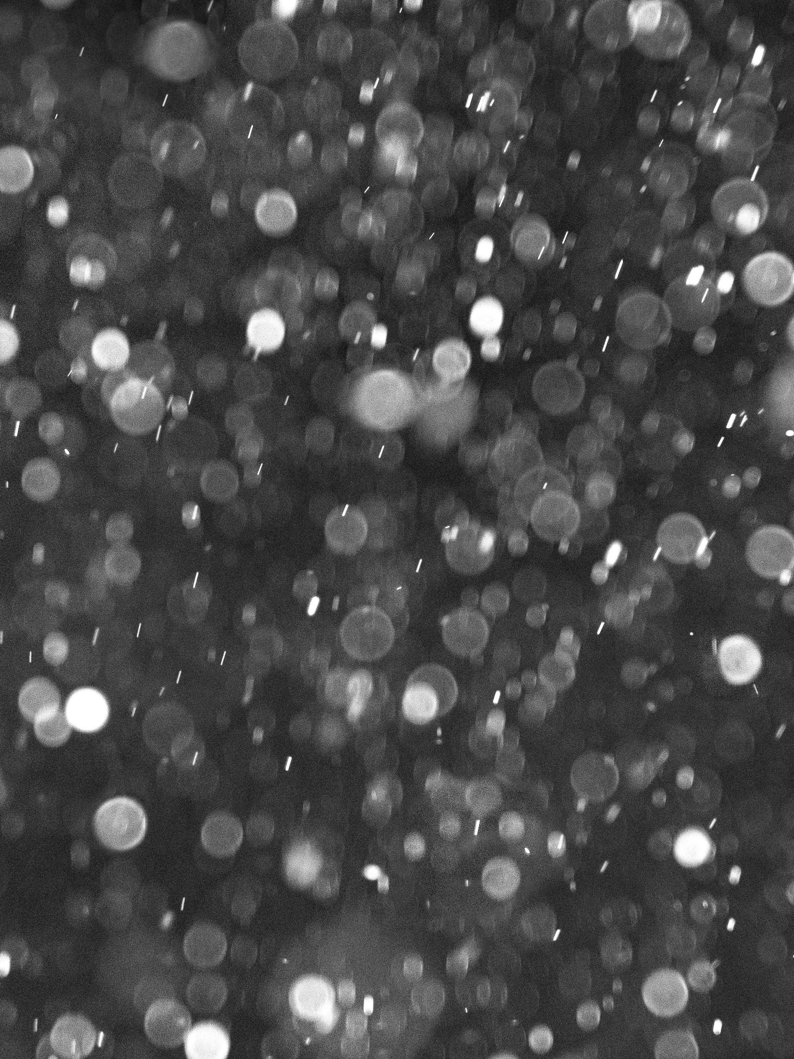 Кто сломал снеговика?. Наталья Орешина документальный и арт-фотограф из Санкт-Петербурга