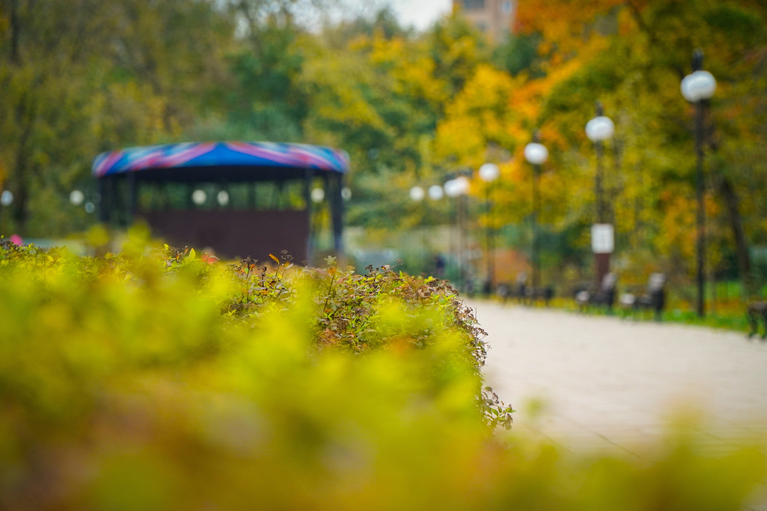 5 вёрст Наташинский 12 октября 2024. Роман Капилюшов. Бег. Фото. Видео. г. Люберцы