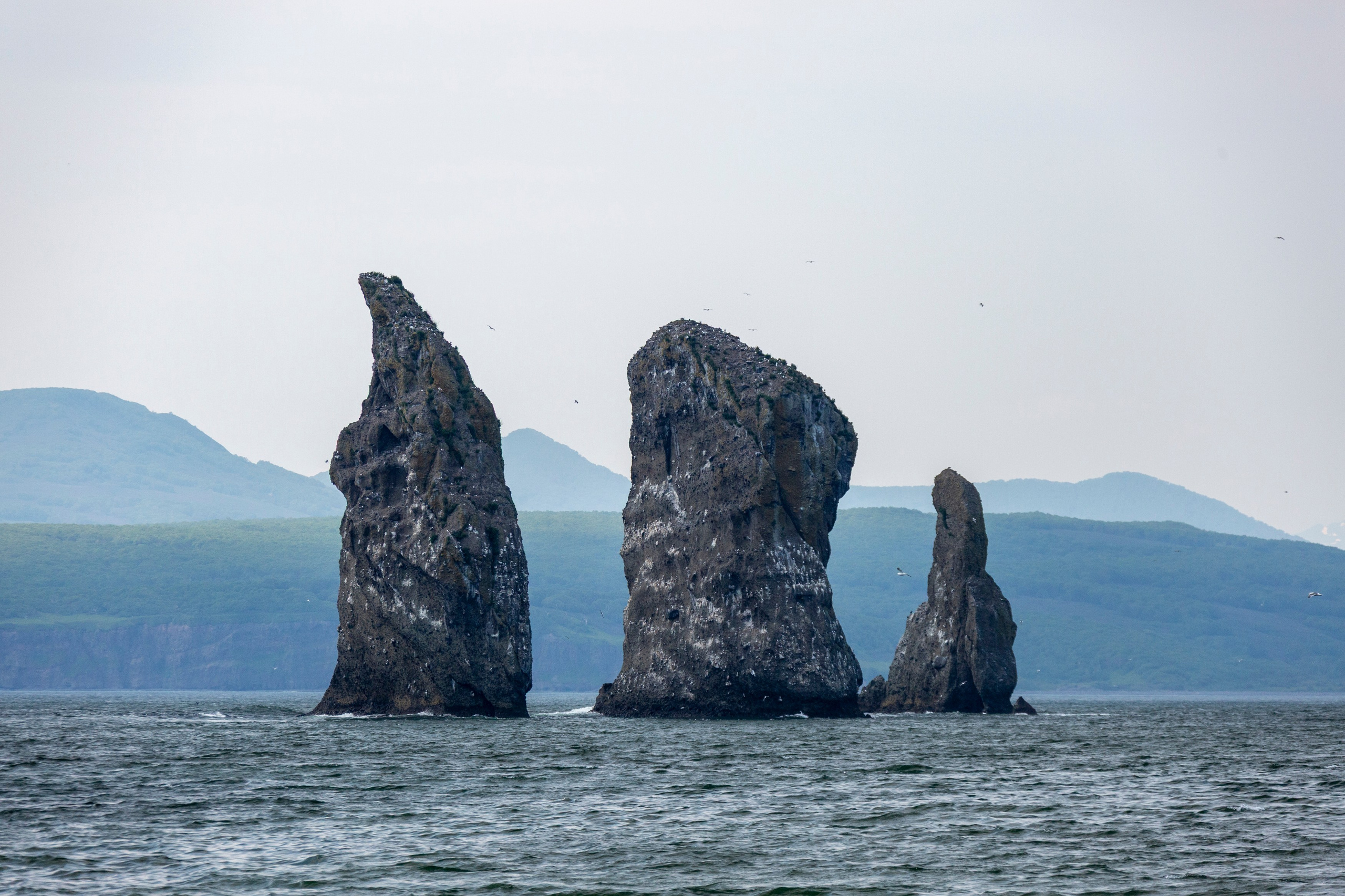 Крабовое сафари + мыс Маячный. Время Камчатки: чтобы найти свой путь, нужно скорость умножить на время