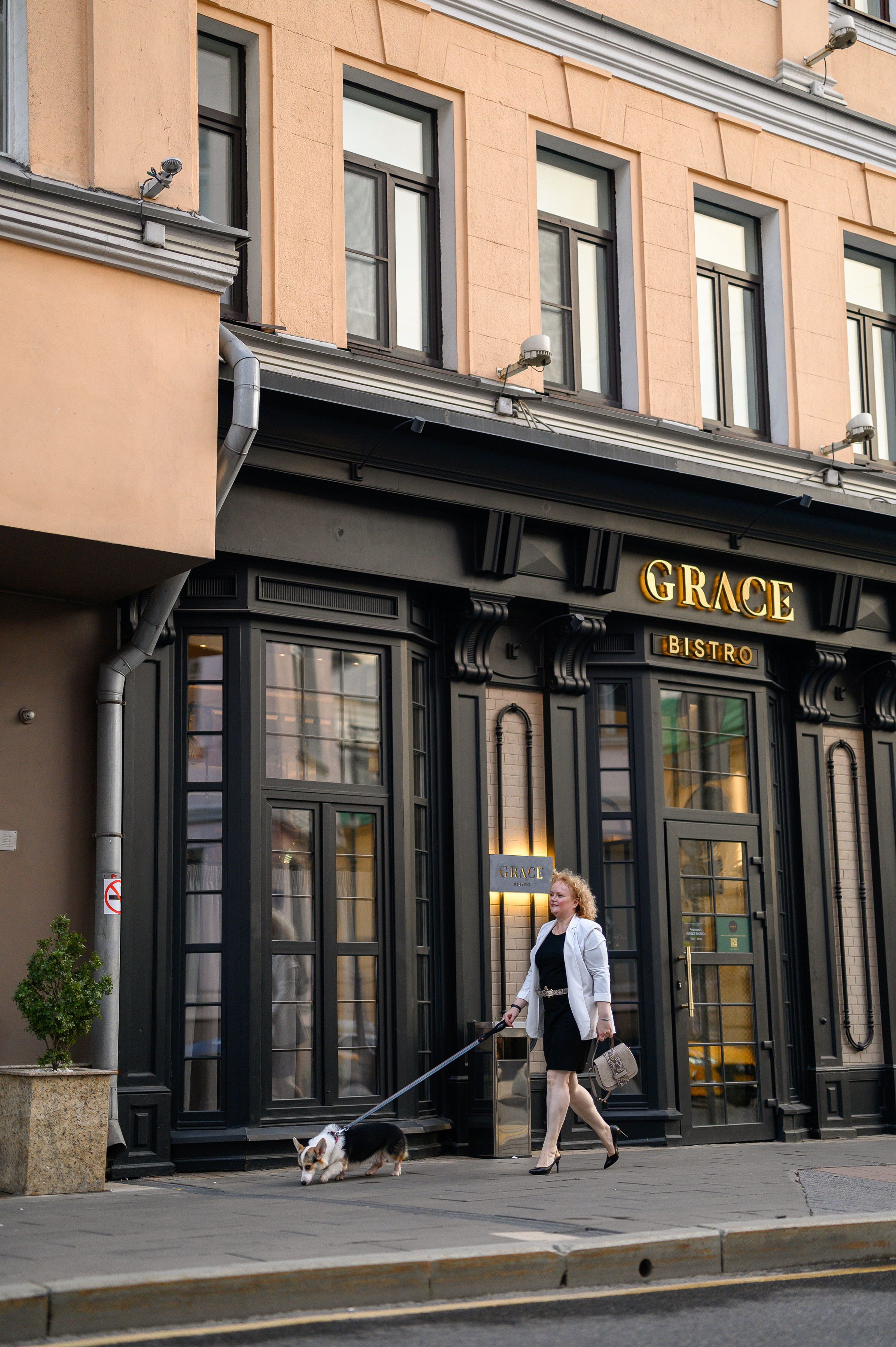 Патриаршие пруды. Фотосессия с Корги. Semerlina.ru