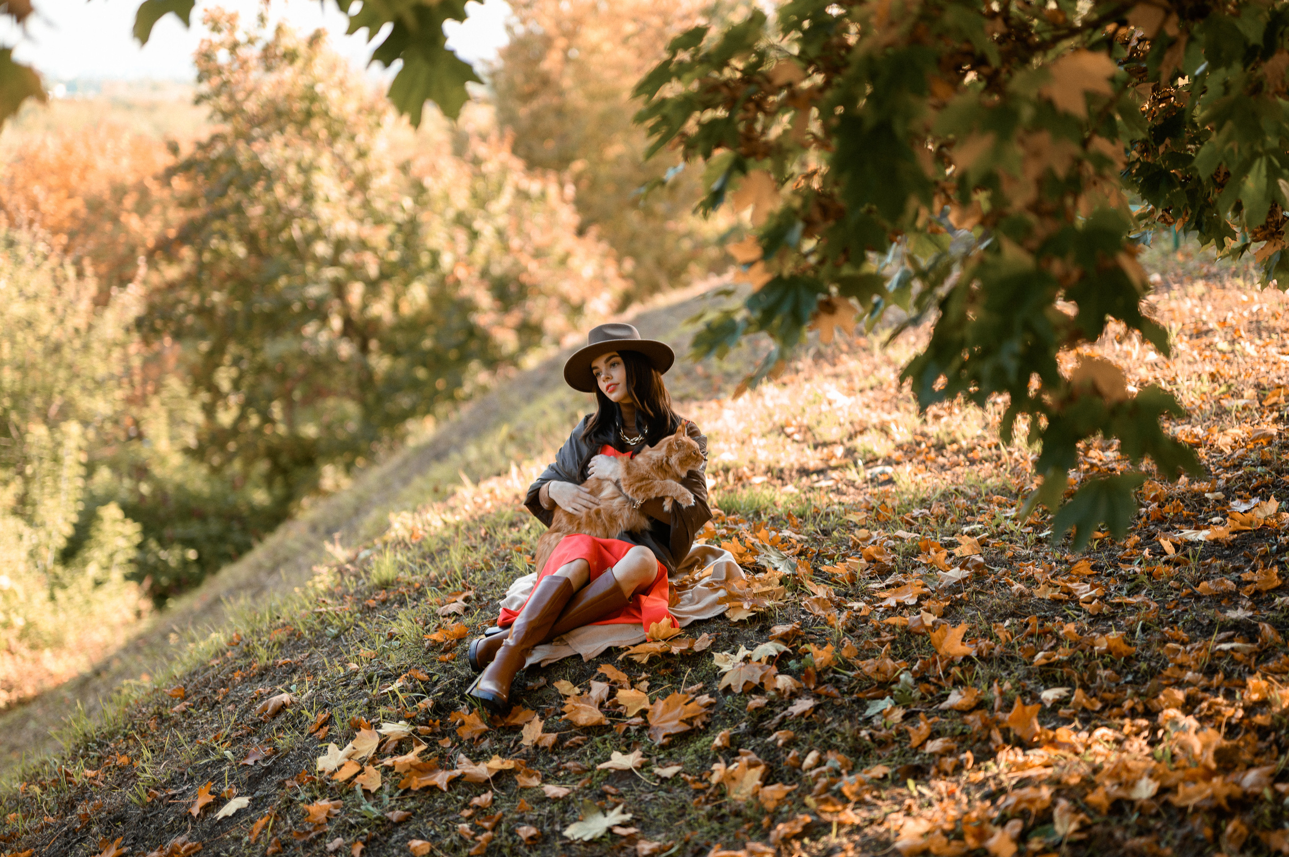 Фотосессия с рыжим котом. Semerlina.ru