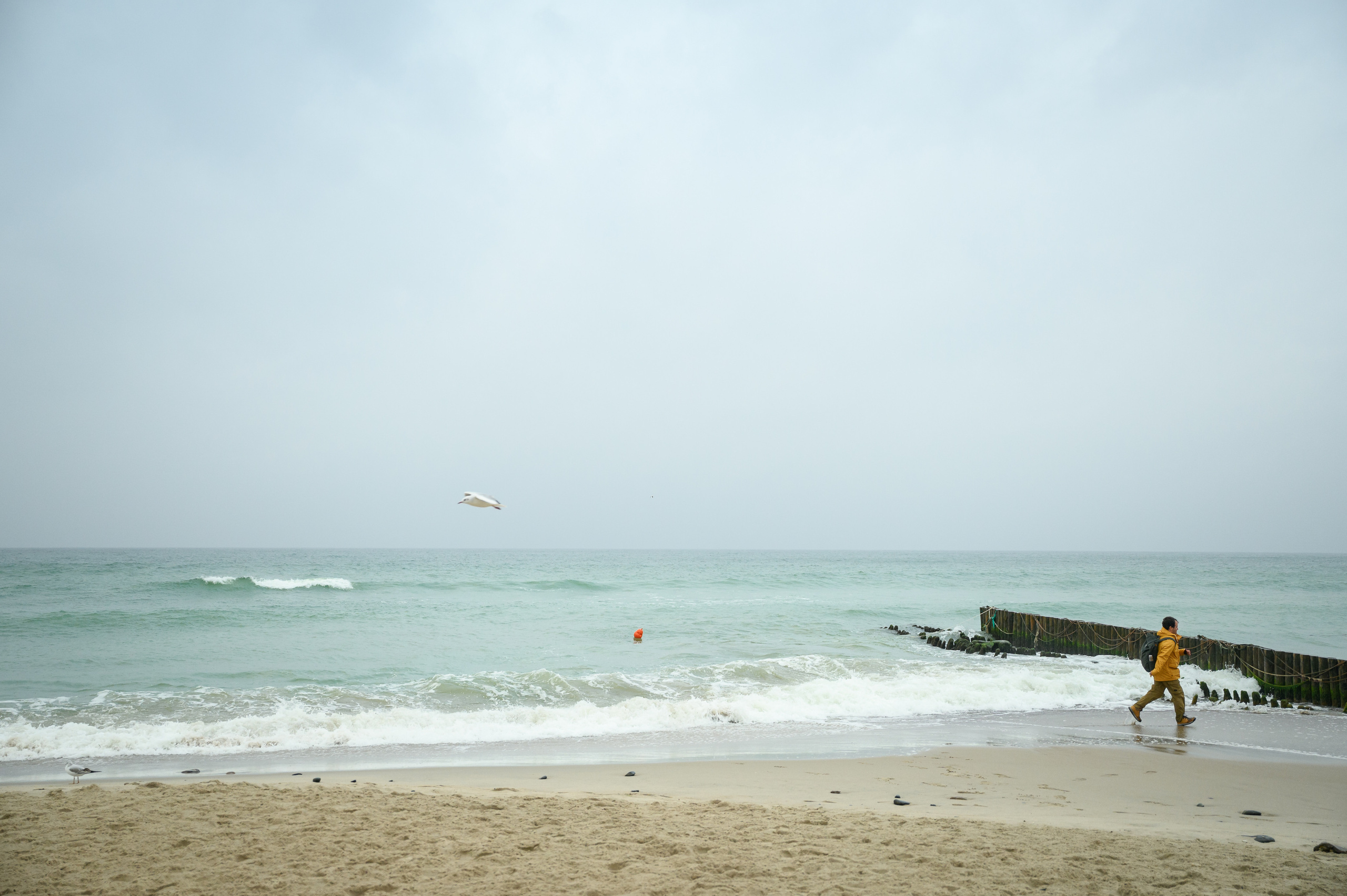 На берегу Балтики. Зеленоградск. Semerlina.ru