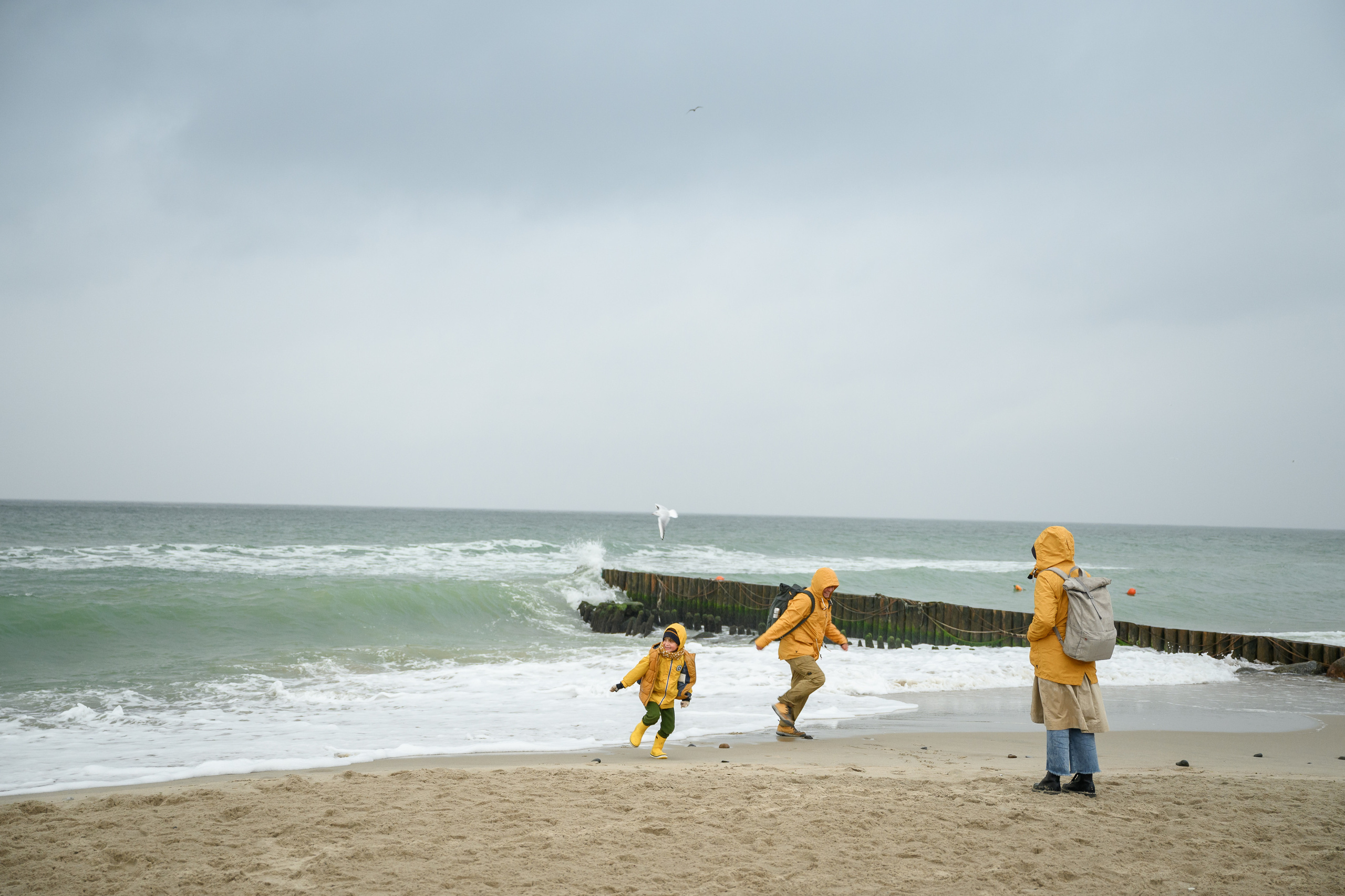 На берегу Балтики. Зеленоградск. Semerlina.ru