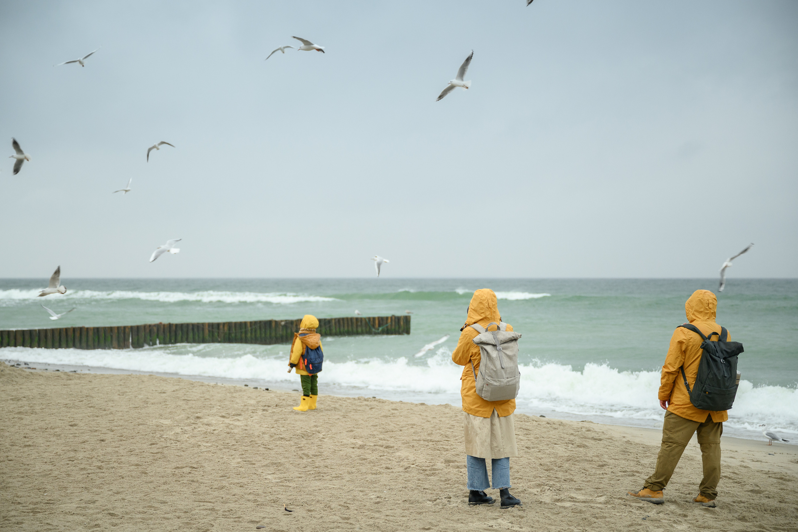 На берегу Балтики. Зеленоградск. Semerlina.ru