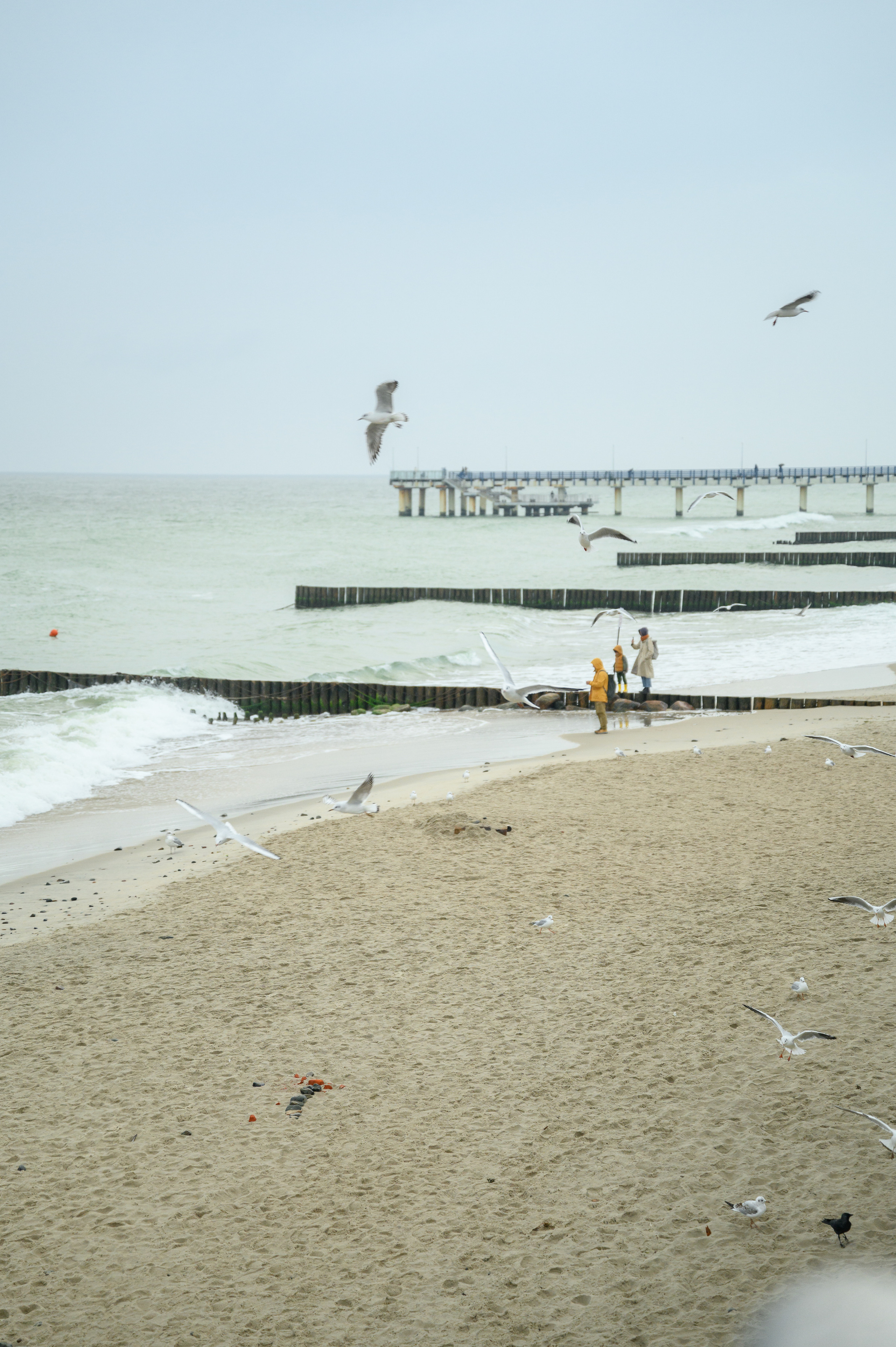 На берегу Балтики. Зеленоградск. Semerlina.ru