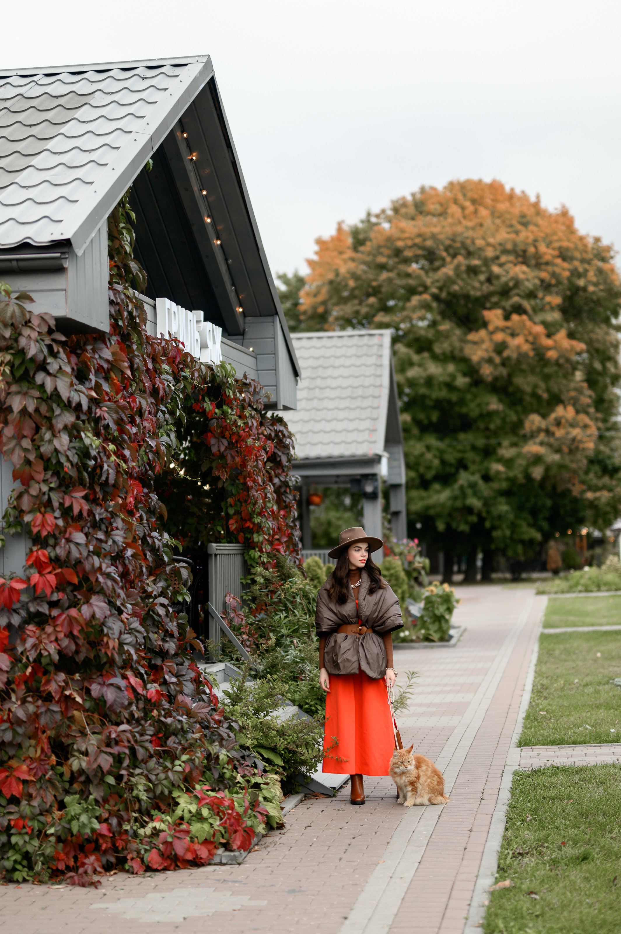 Фотосессия с рыжим котом. Semerlina.ru