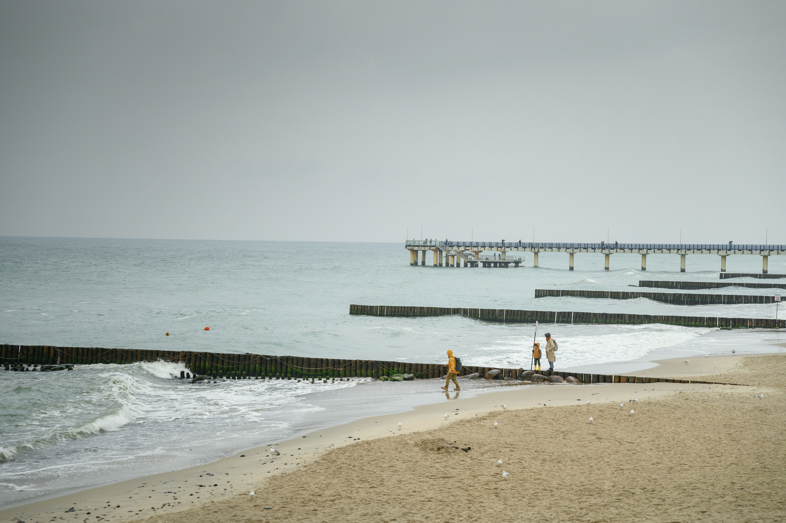 На берегу Балтики. Зеленоградск. Semerlina.ru