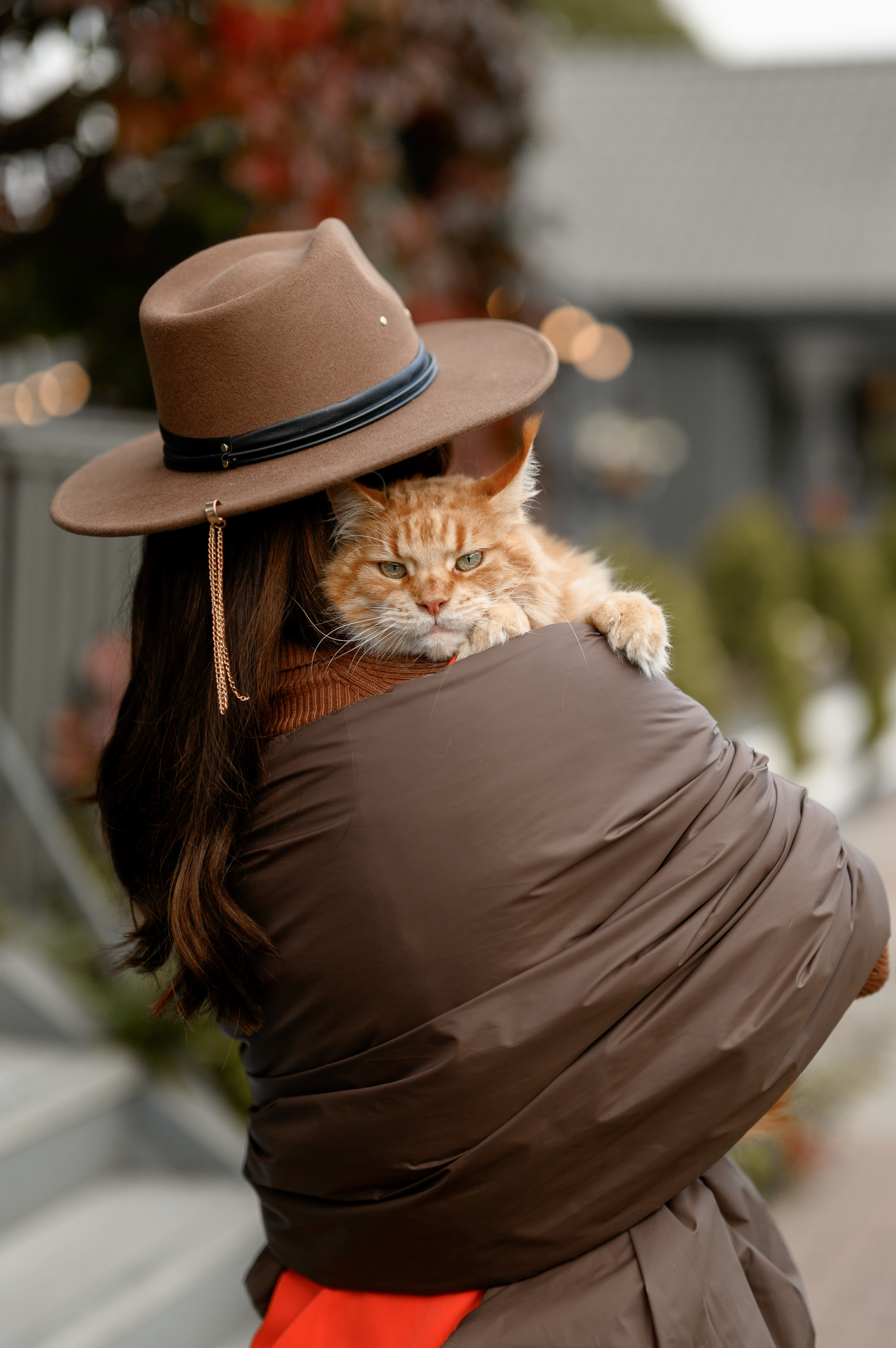 Фотосессия с рыжим котом. Semerlina.ru