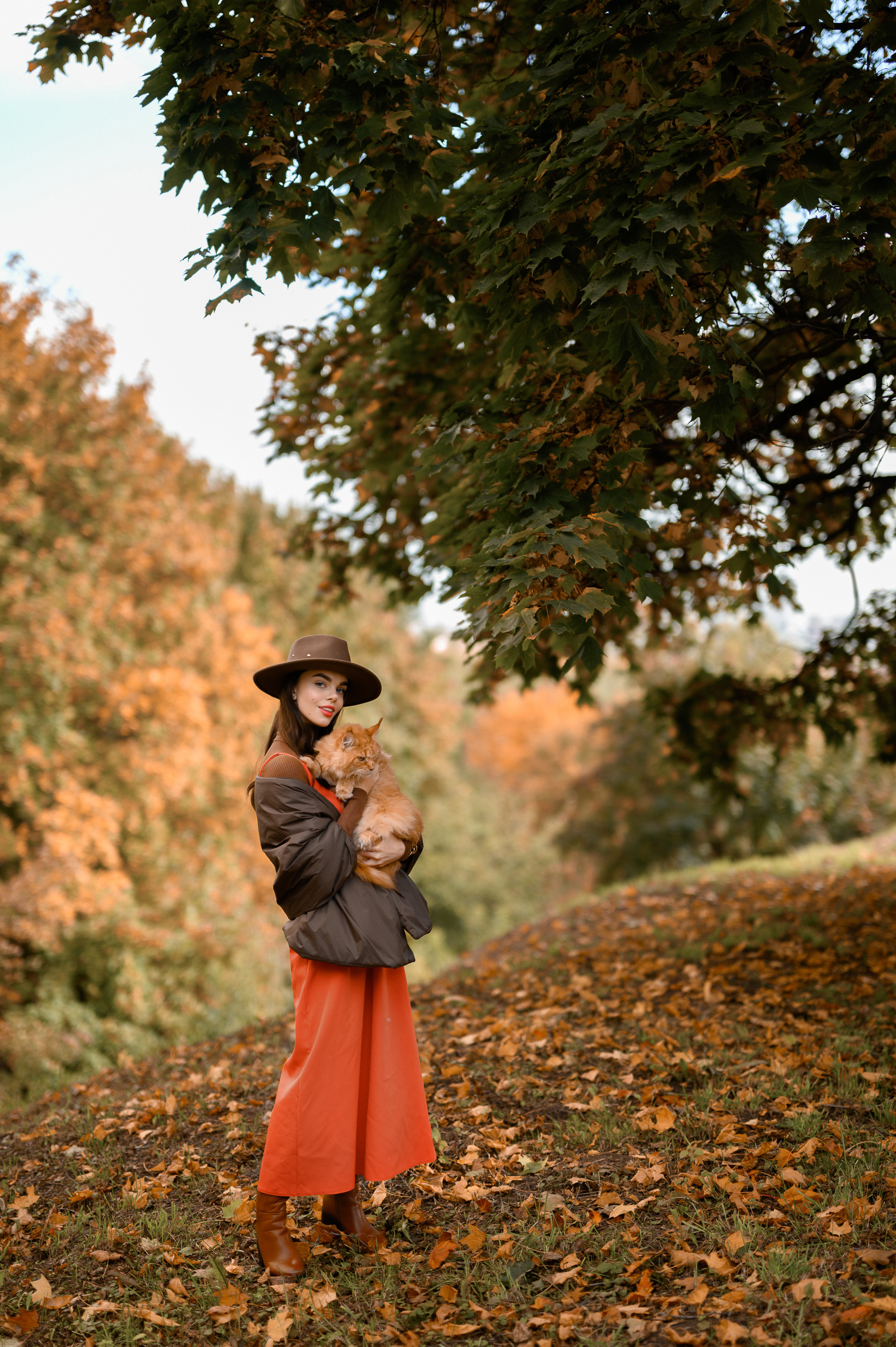 Фотосессия с рыжим котом. Semerlina.ru