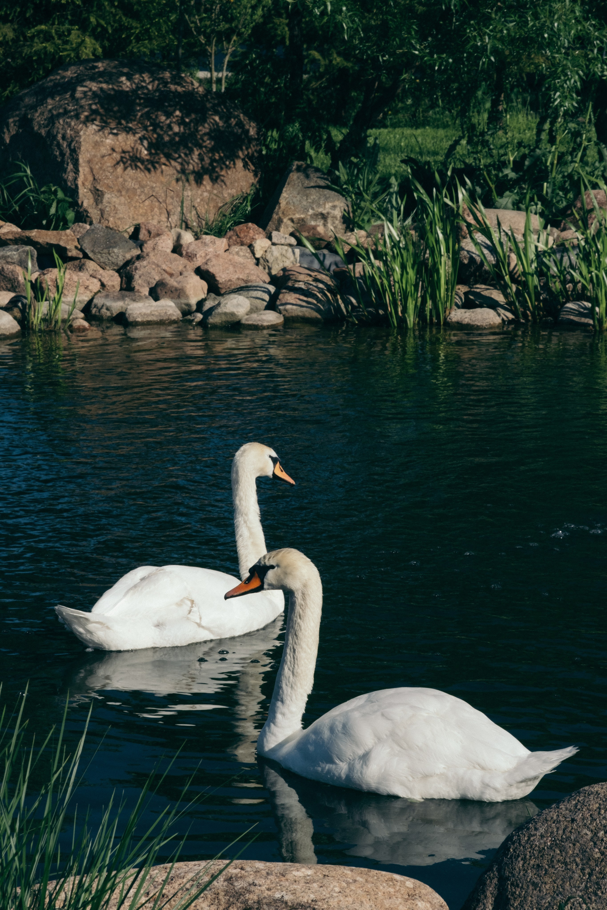 Анна и Артем. Фотограф в Санкт-Петербурге Олеся Барановская
