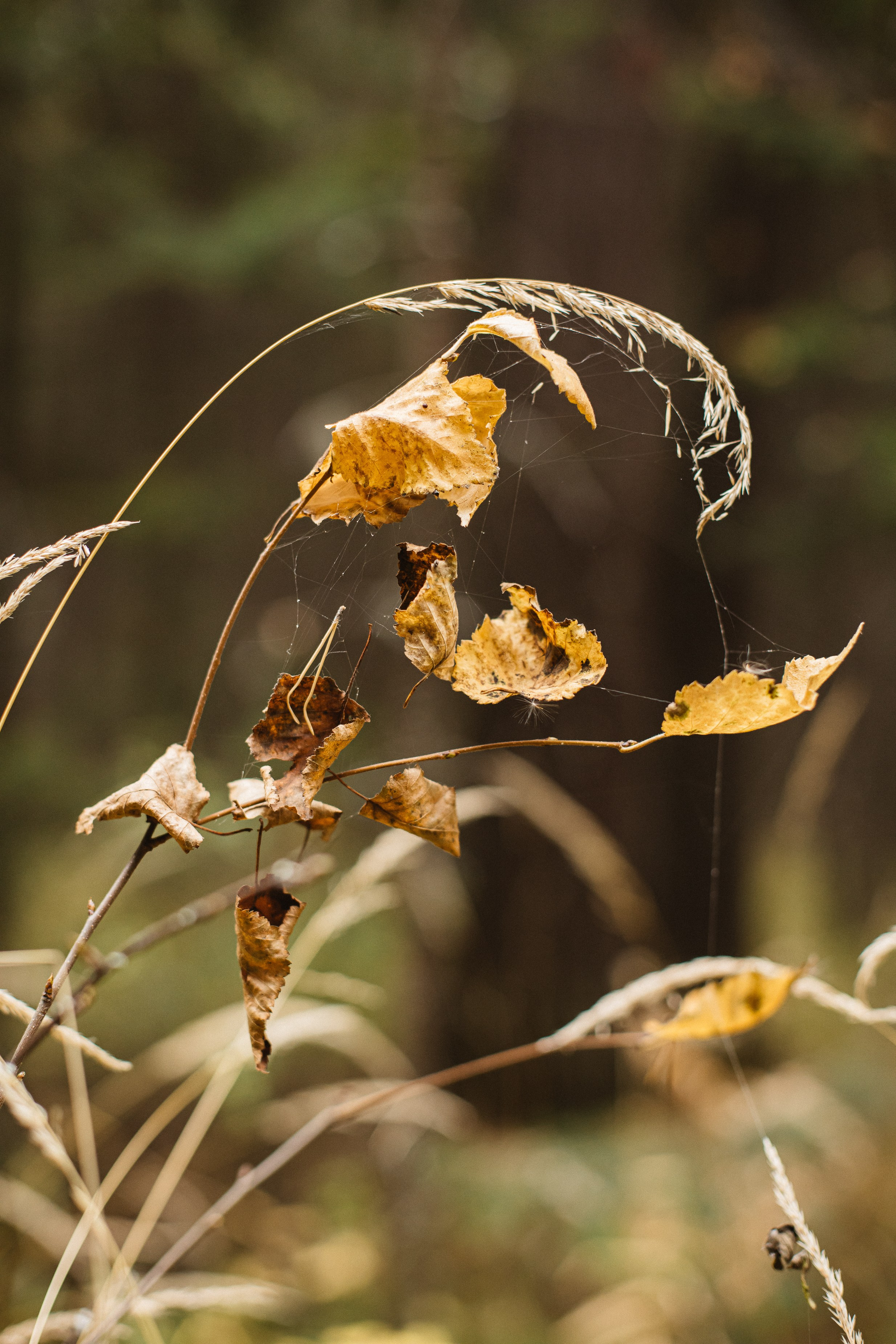 Семь Братьев. Семейный фотограф Трусова Евгения в Екатеринбурге