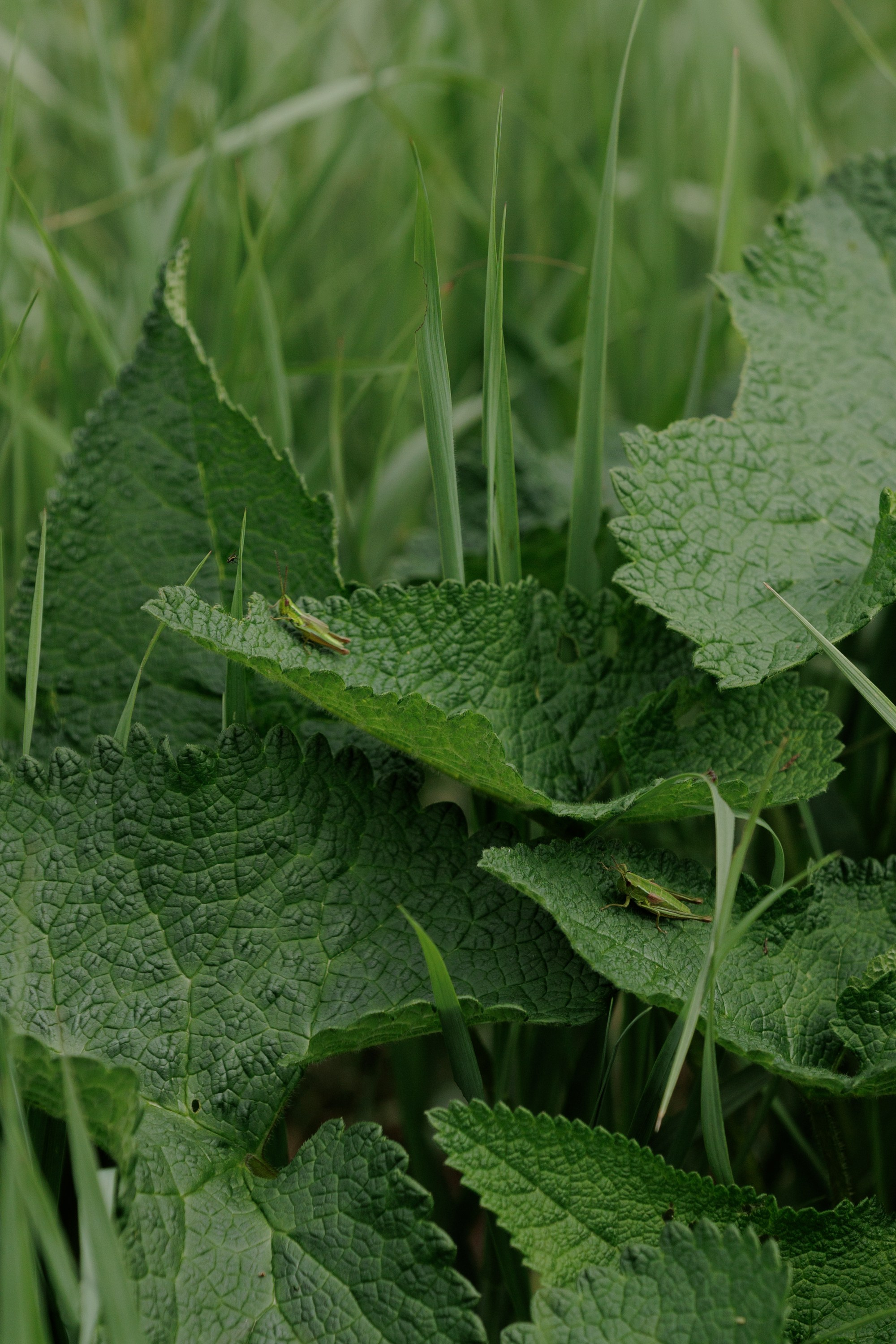Ты, я и море. Свадебный фотограф