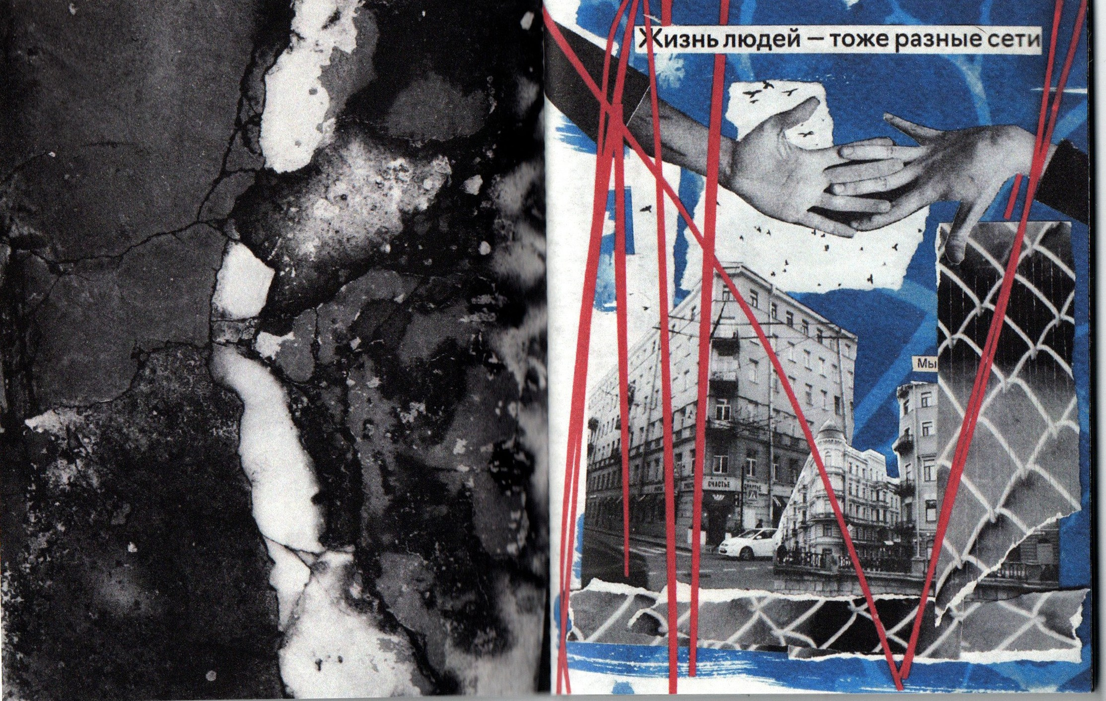 Приют несовершенных дел. Фотограф Анна Кирнос