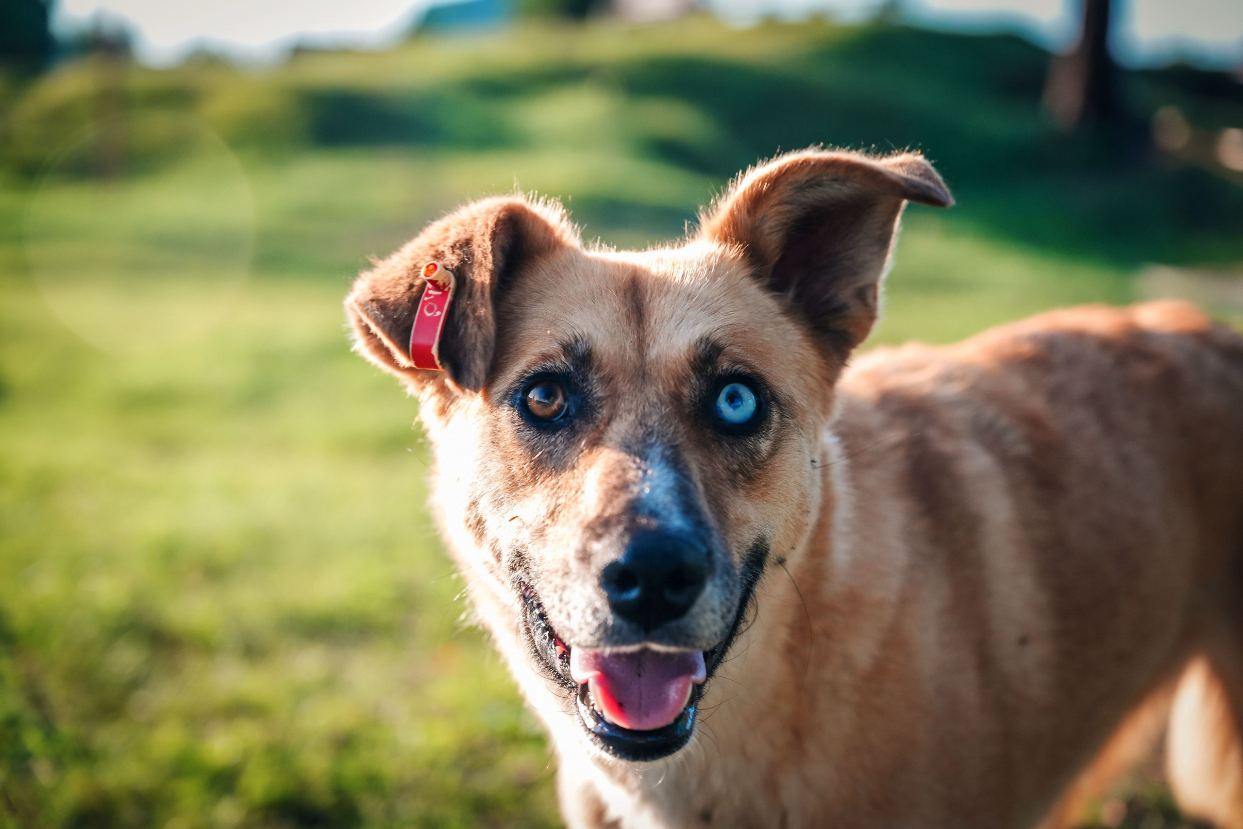 Прогулка. Семейный и интерьерный фотограф в Норильске и Красноярске