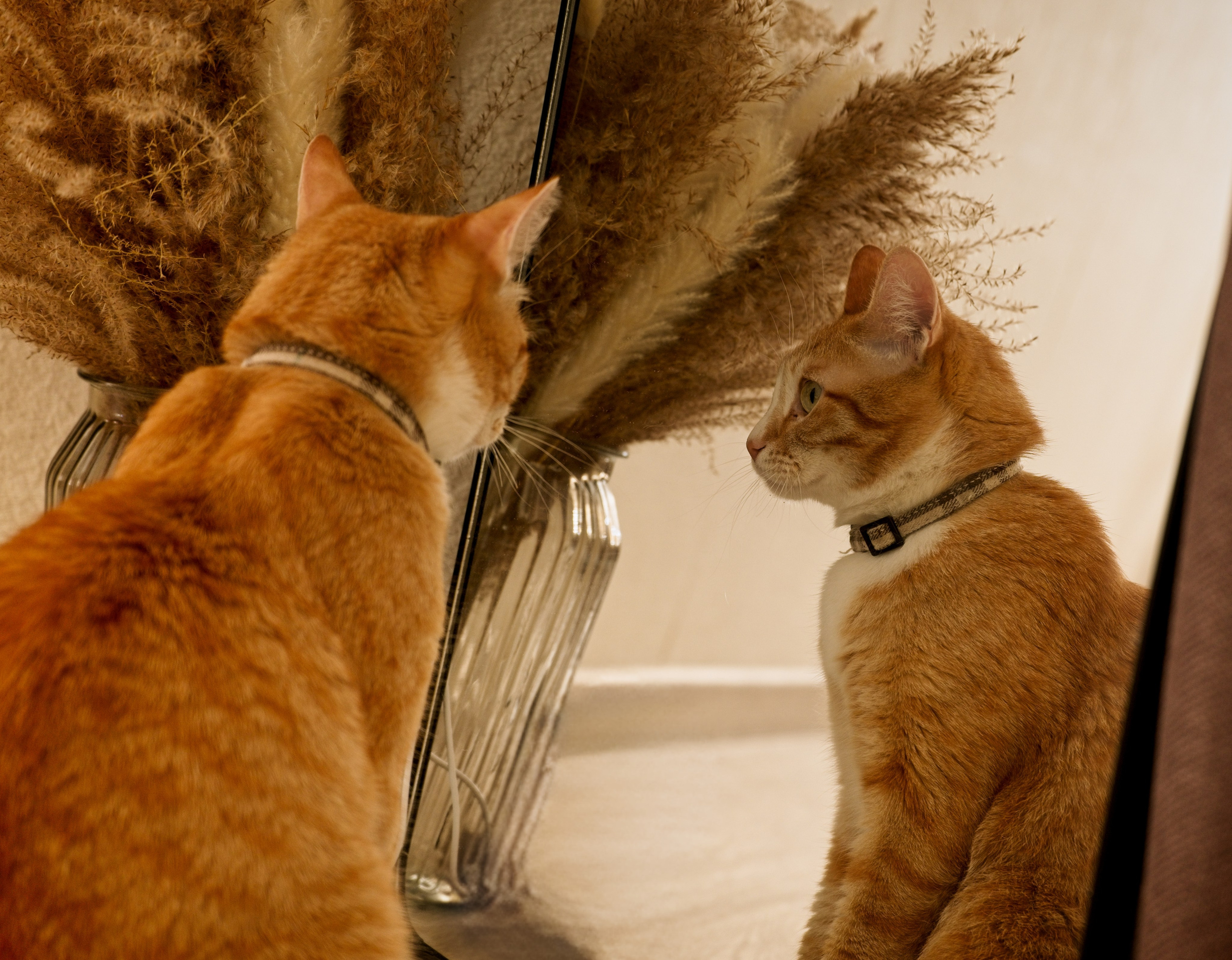 Семья. Семейный и интерьерный фотограф в Норильске и Красноярске