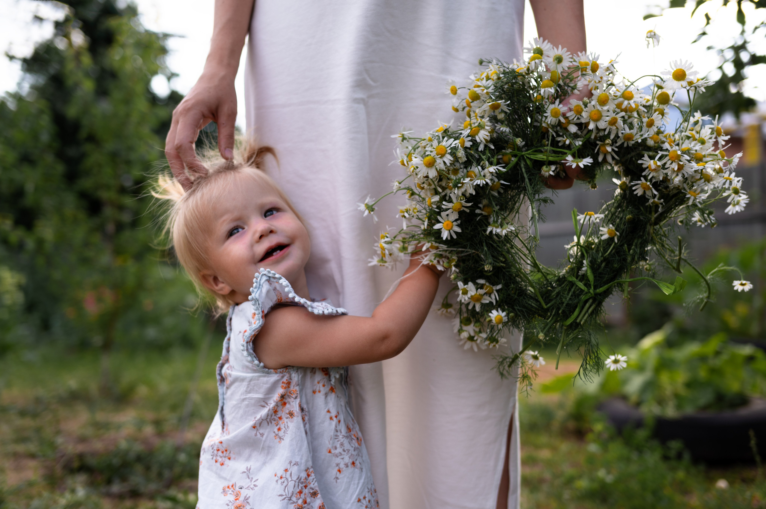 Ромашки и утята. Главная