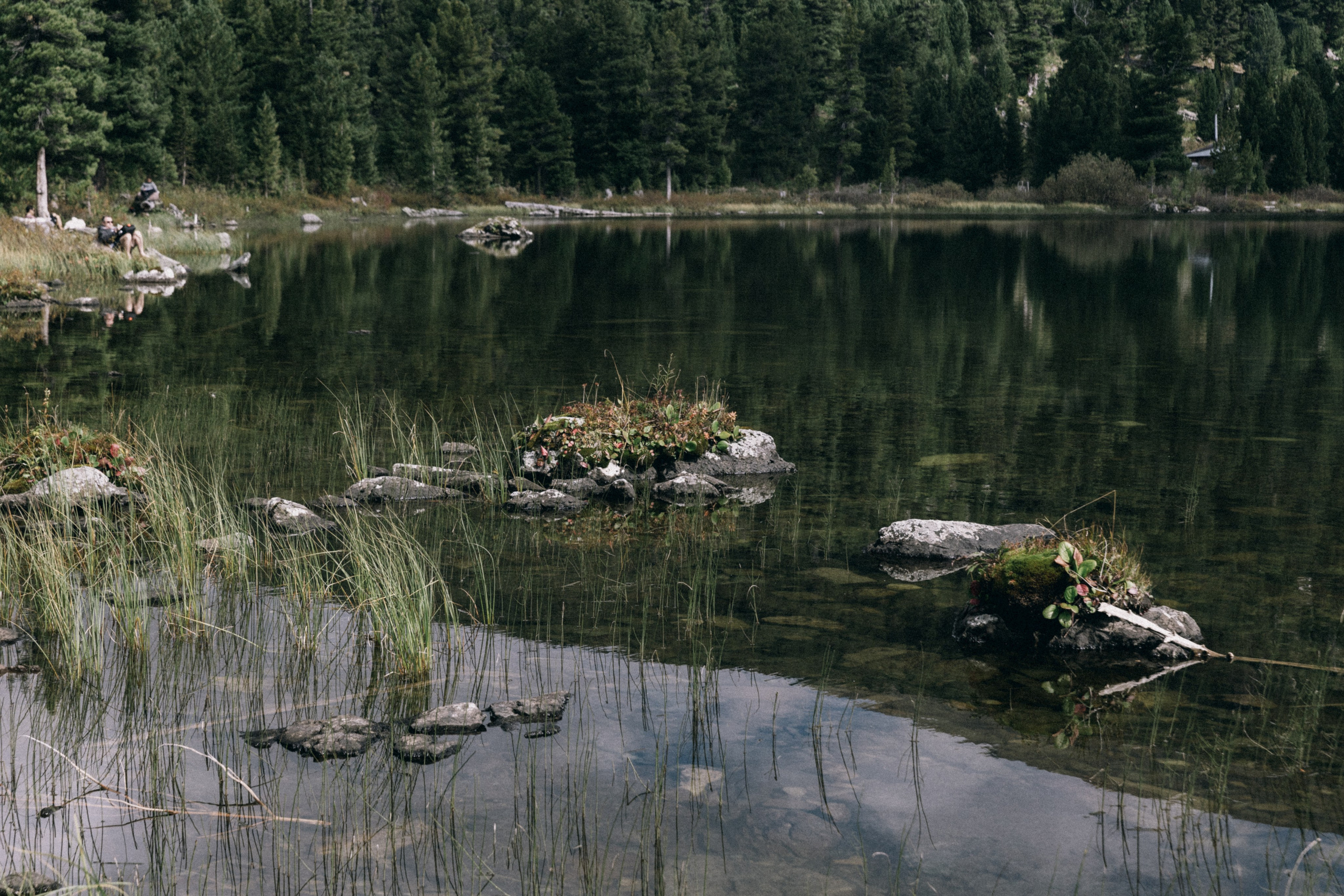 Алтай, природа и эстетика. Александр Чернин. Семейный и событийный фотограф