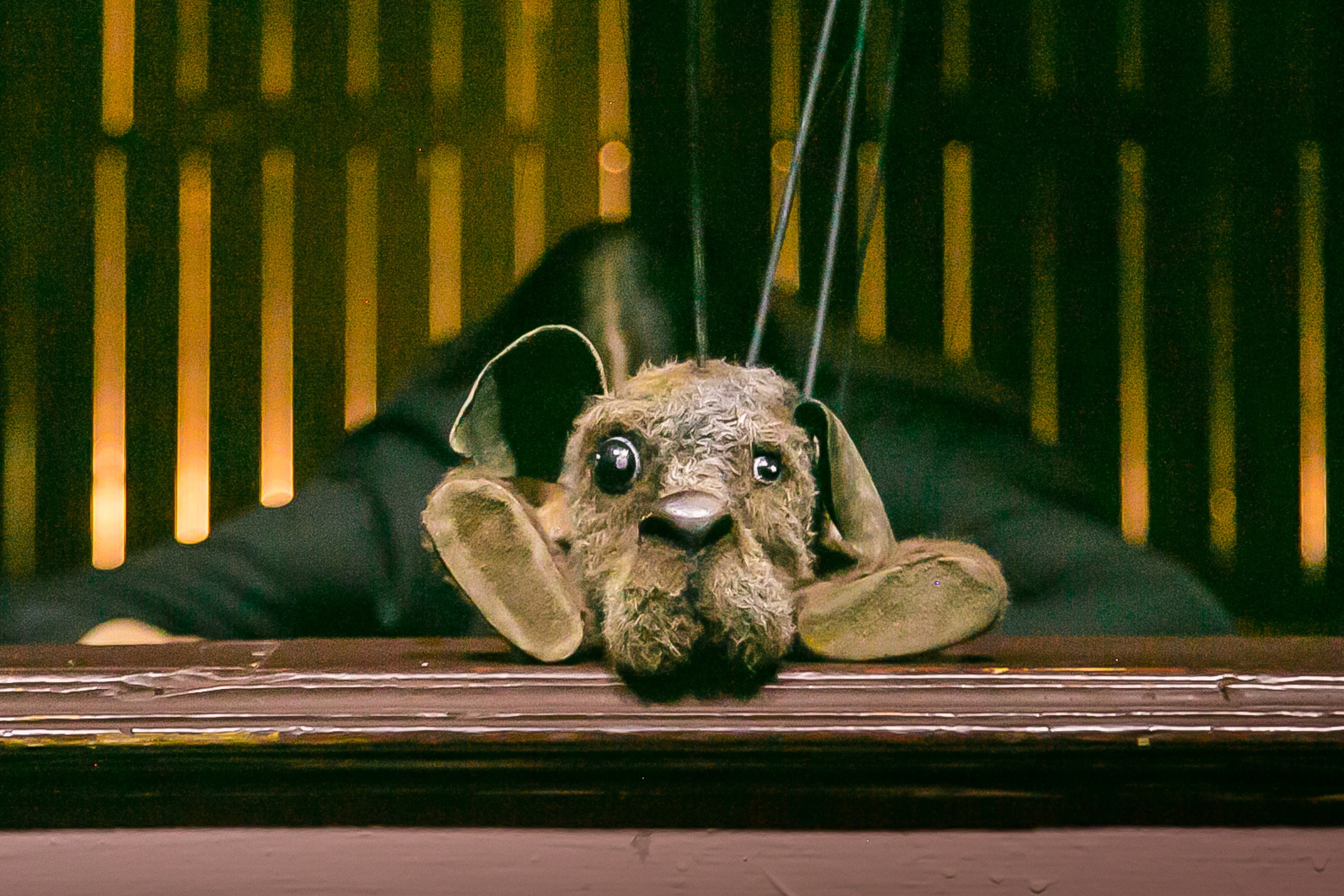 Художник по свету Максим Сергачев