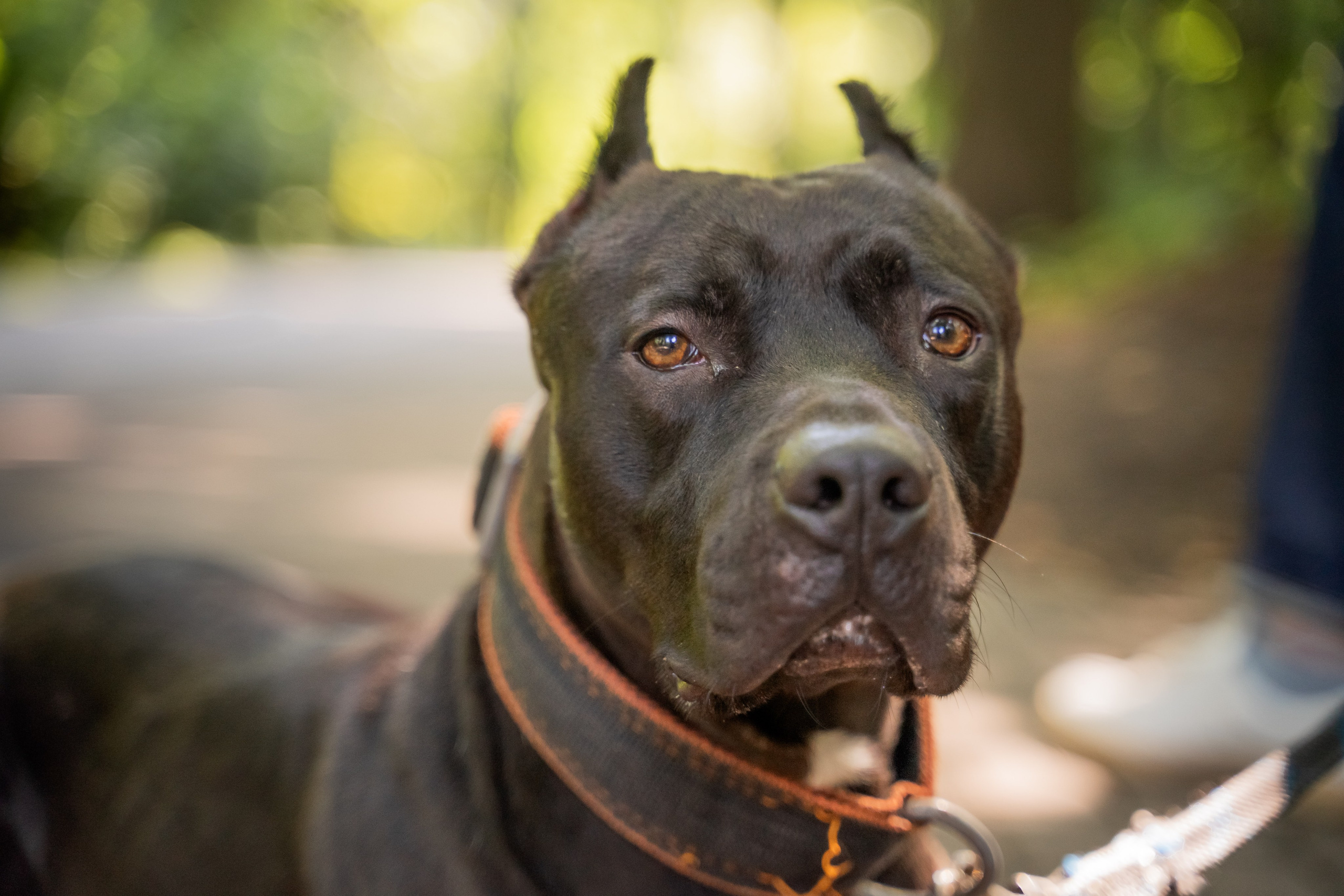 Portrait. Life in Focus