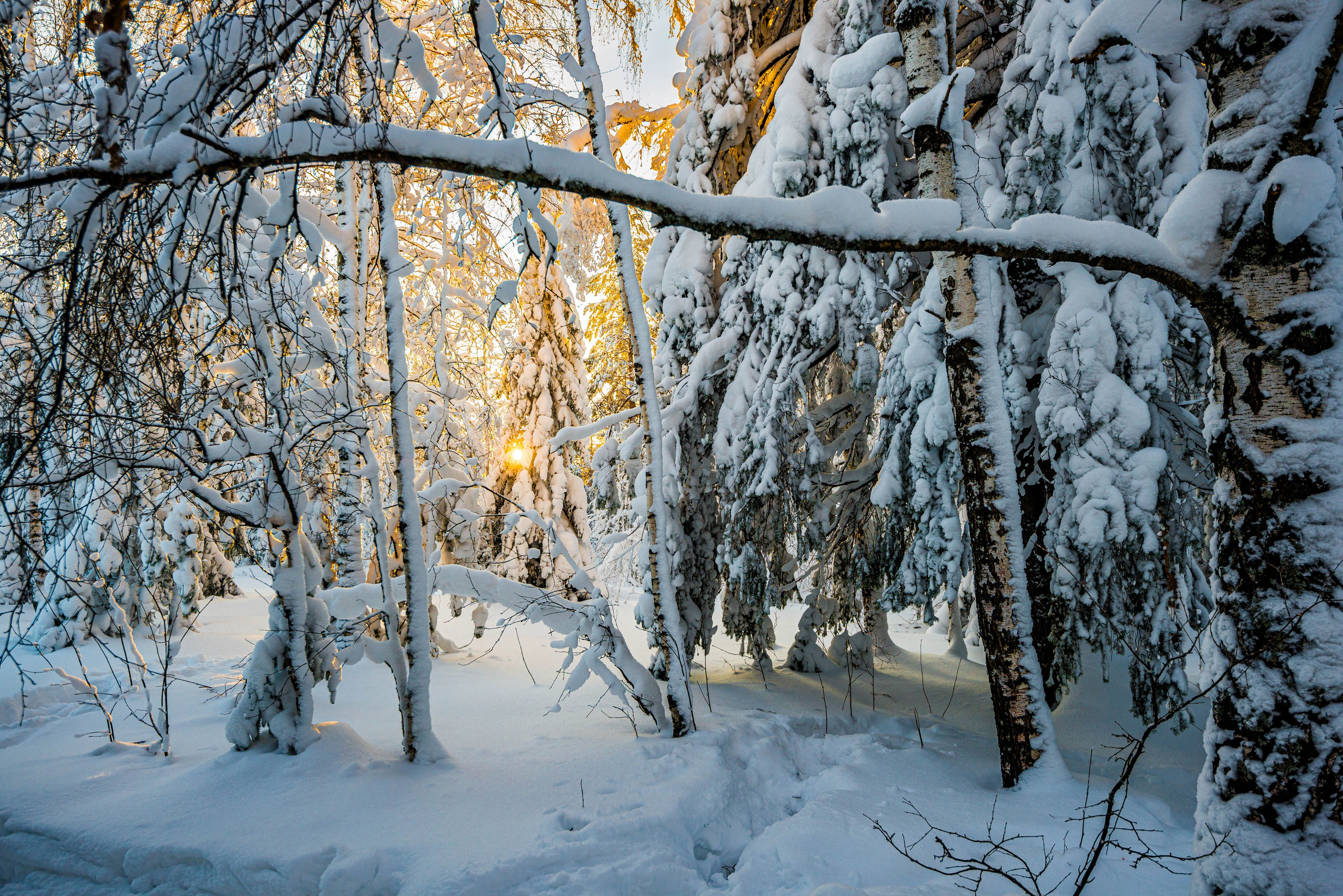 Таганай Семибратка, Парк Бажова, ледяной фонтан 06.01.2024. Свадебный фотограф на Урале Виктор Соколов