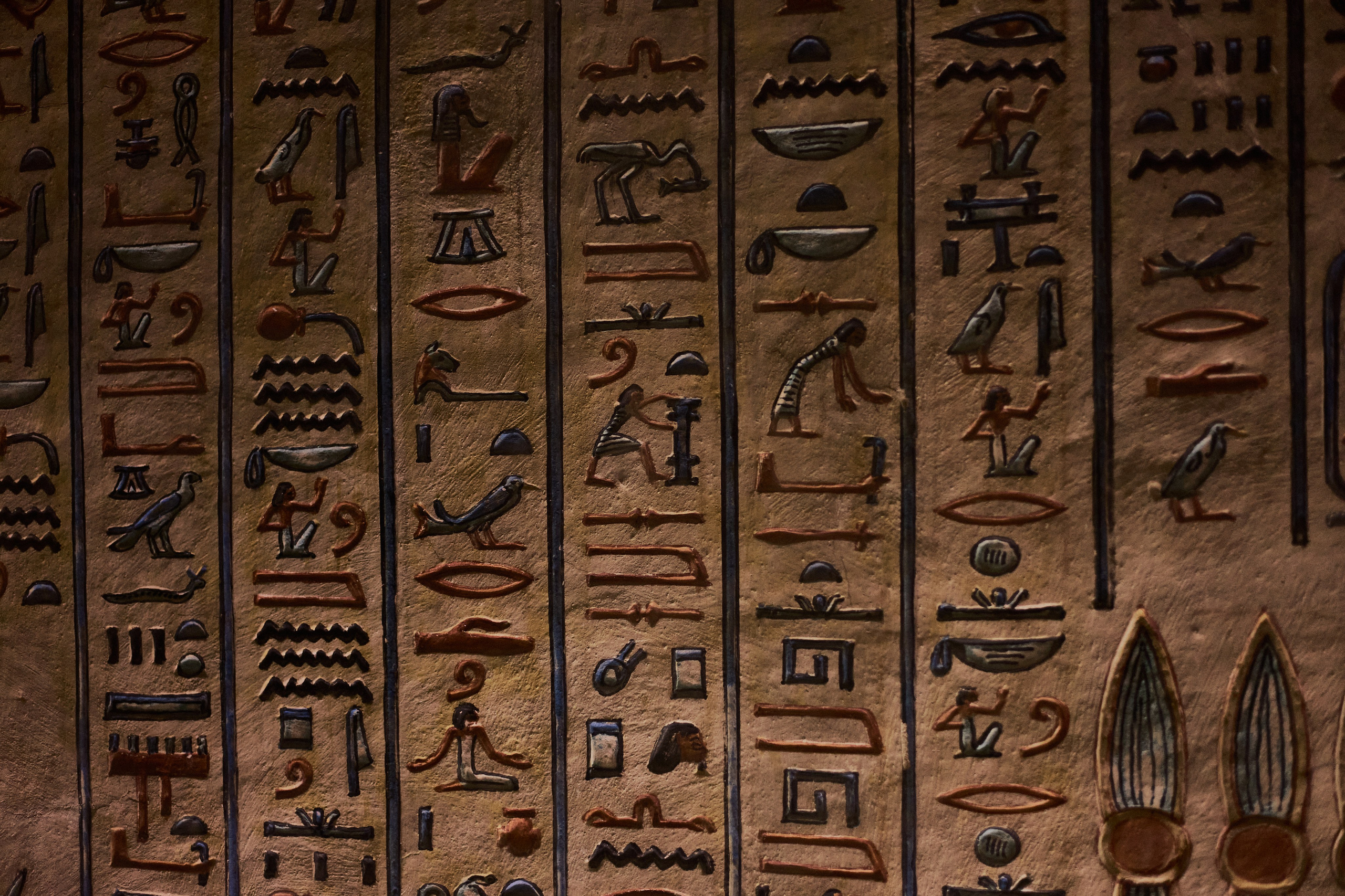 Другое 4. Jorgis — фотограф в Хургаде / обучение фотографии