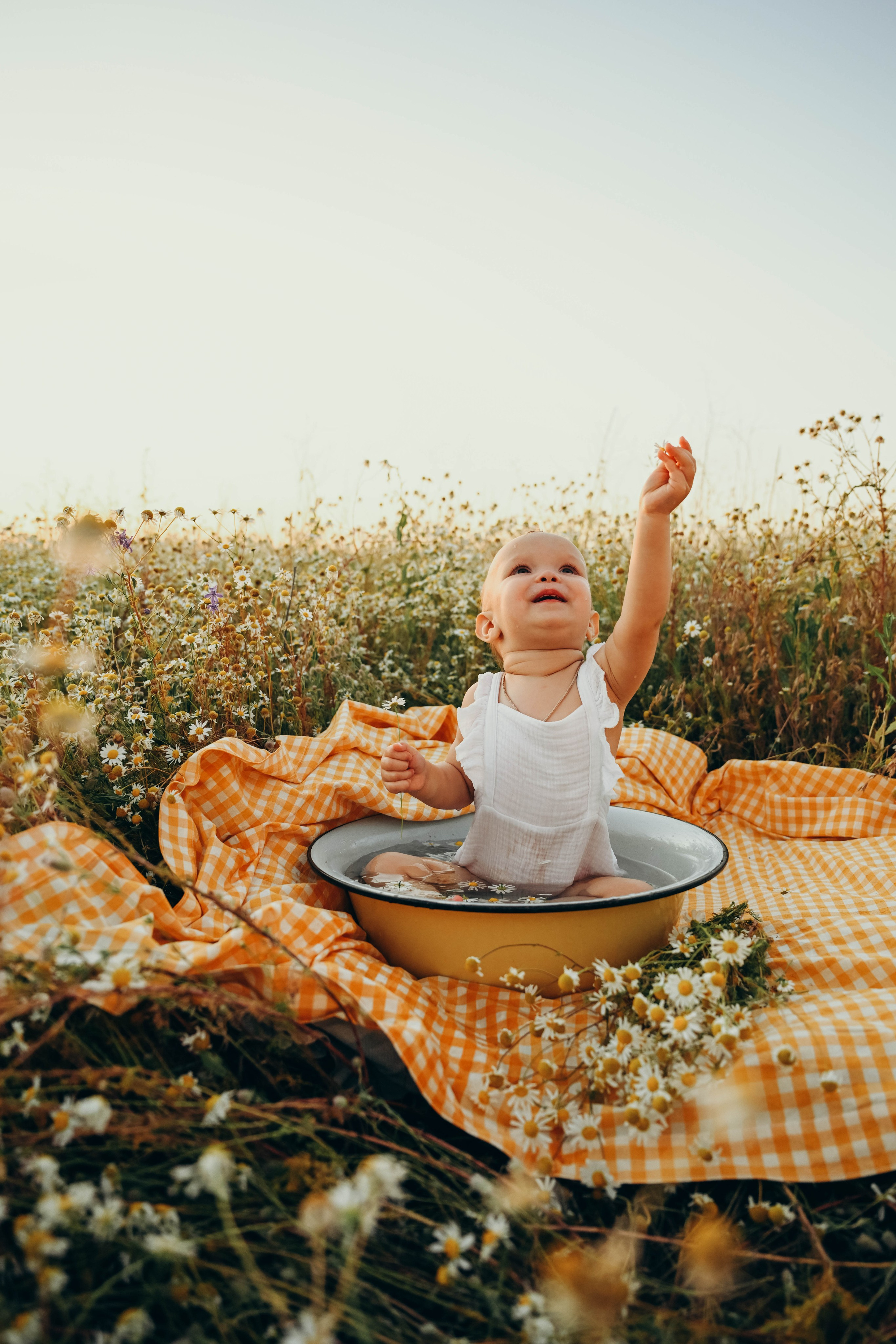 Ромашковое поле. Семейный фотограф в Москве Люберцах Ирина Вронская