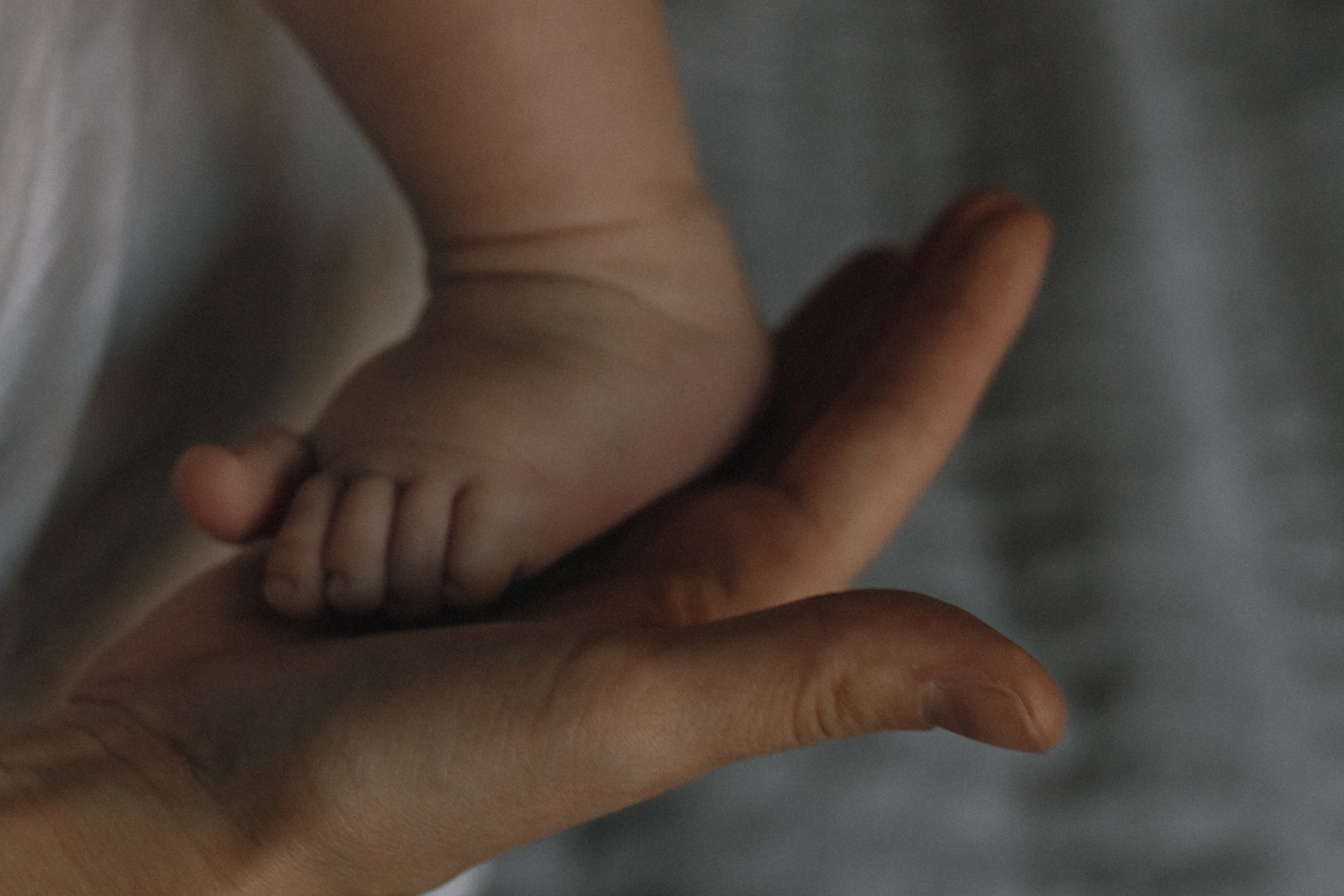 Майя, Марк и кот (домашняя съемка). Фотограф в Москве (готова приехать к вам в город)