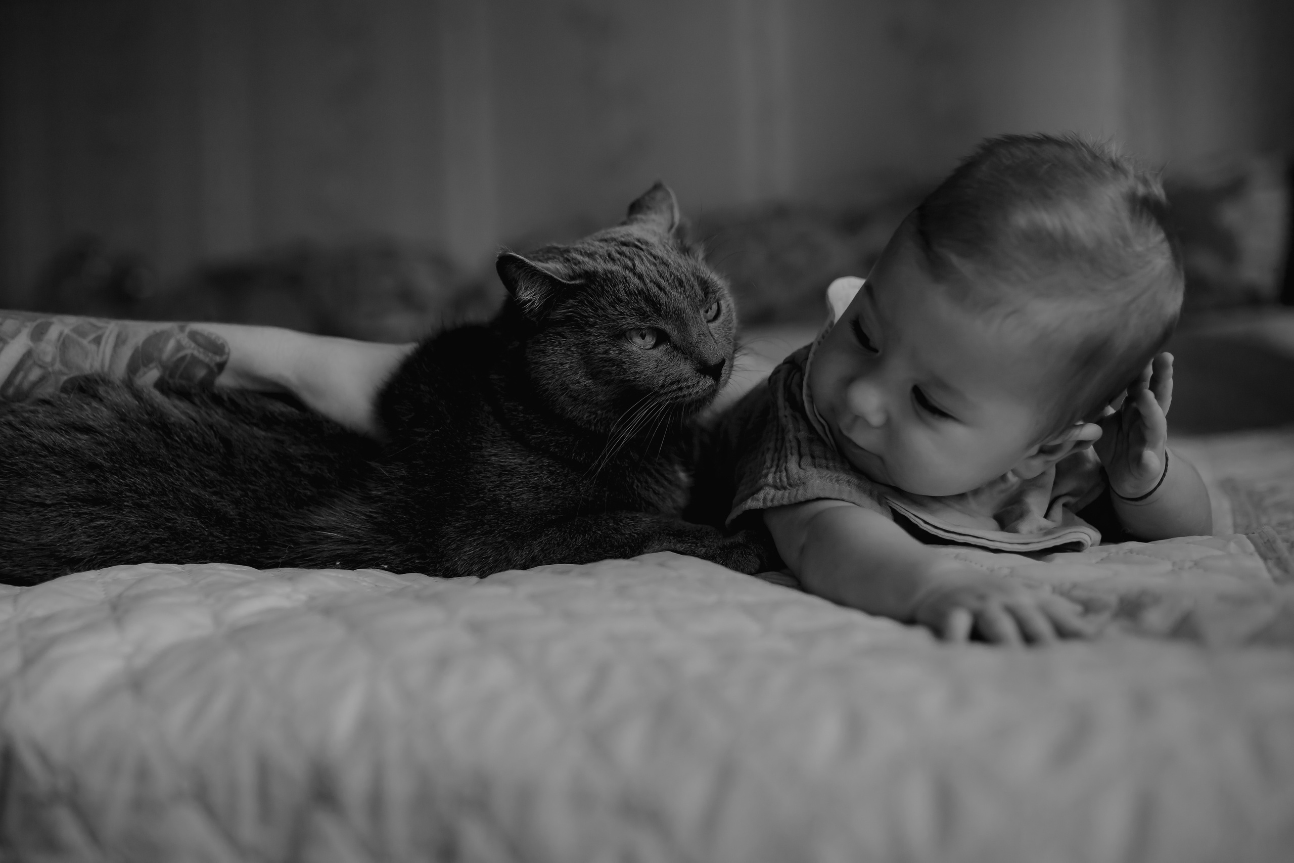 Майя, Марк и кот (домашняя съемка). Фотограф в Москве (готова приехать к вам в город)