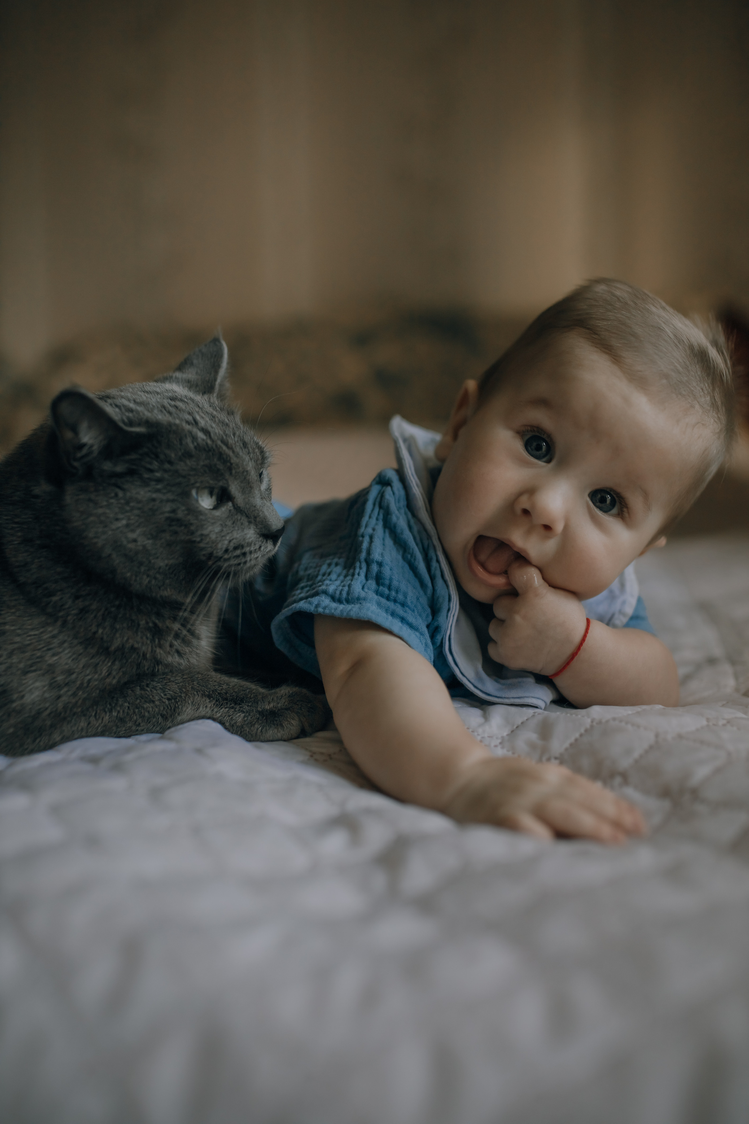 Майя, Марк и кот (домашняя съемка). Фотограф в Москве (готова приехать к вам в город)