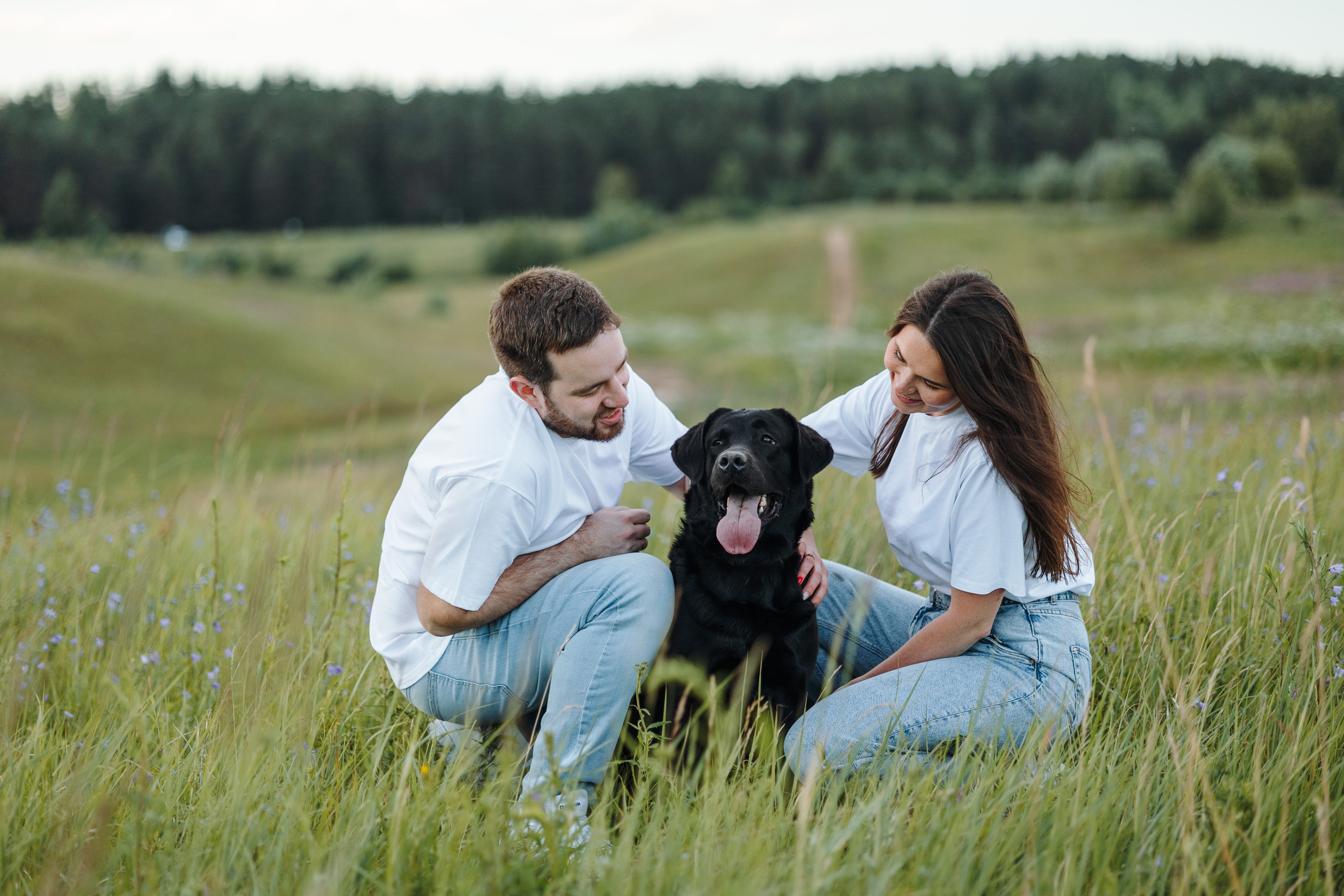 Бомбей и его семья. Фотограф — Анималист | Санкт-Петербург