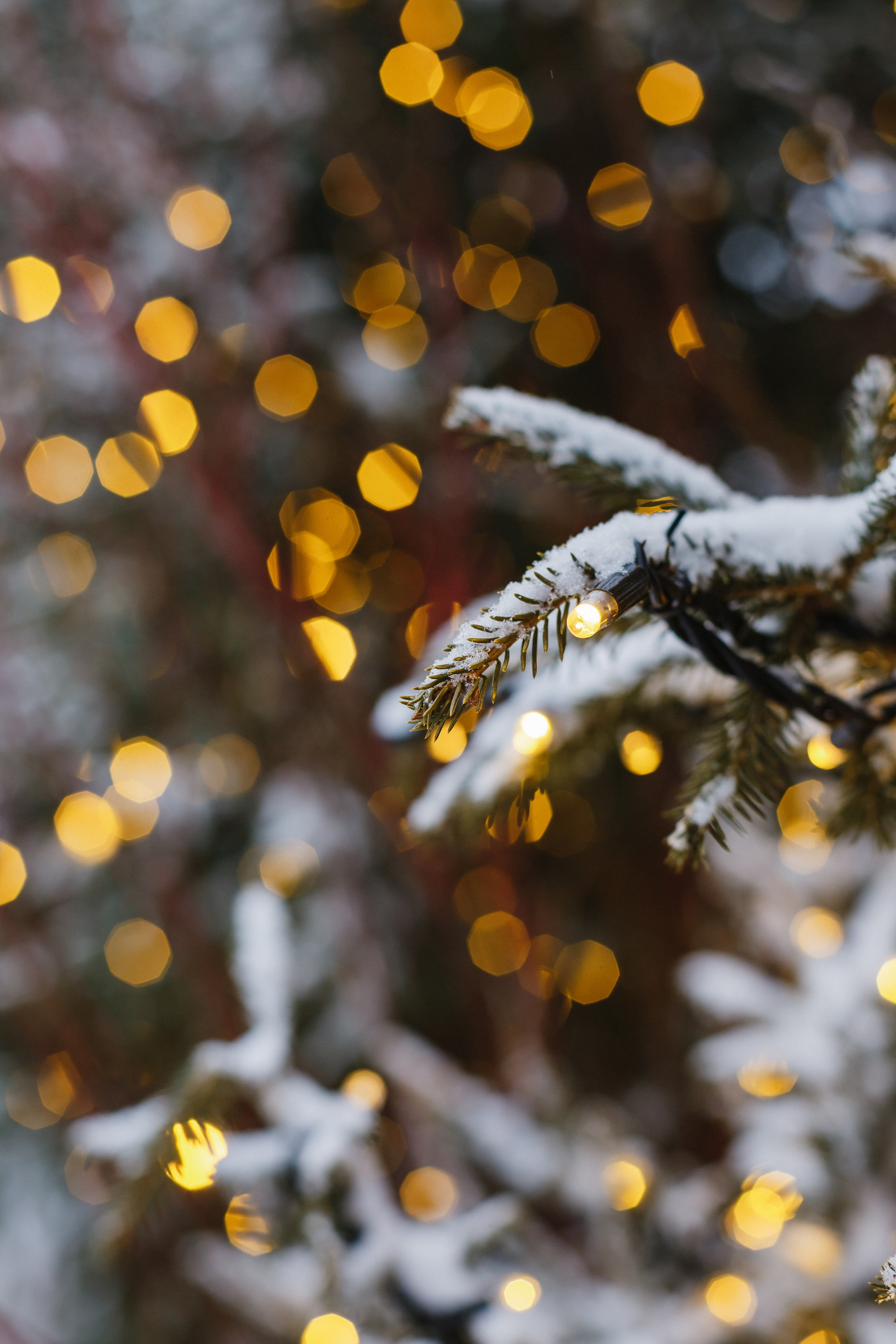 Прогулка по Красной Площади. Семейный фотограф Николаева Ольга