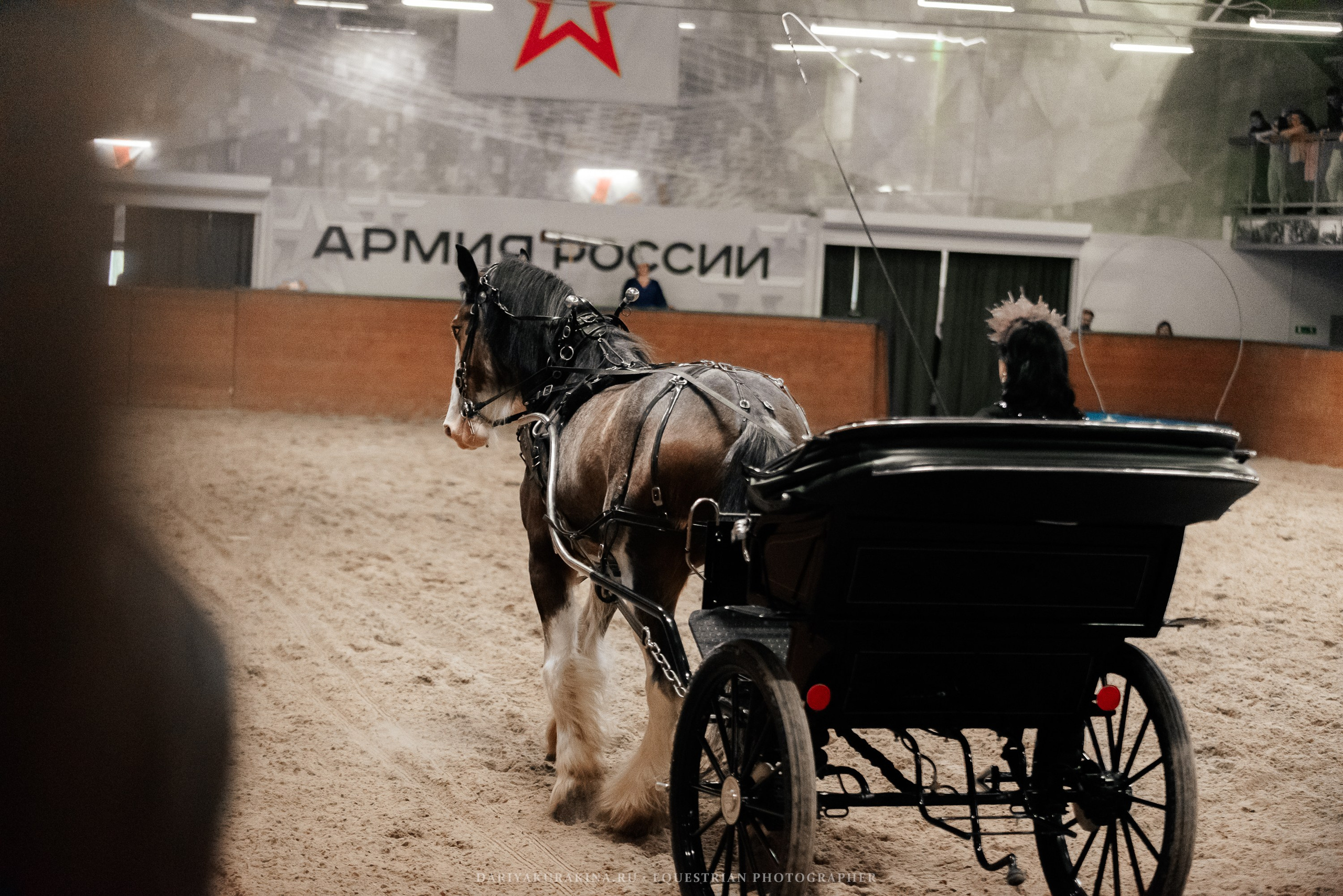 Конное представление «Дыхание Звёзд». Конный фотограф Куракина Дарья • Фотосессии с лошадьми