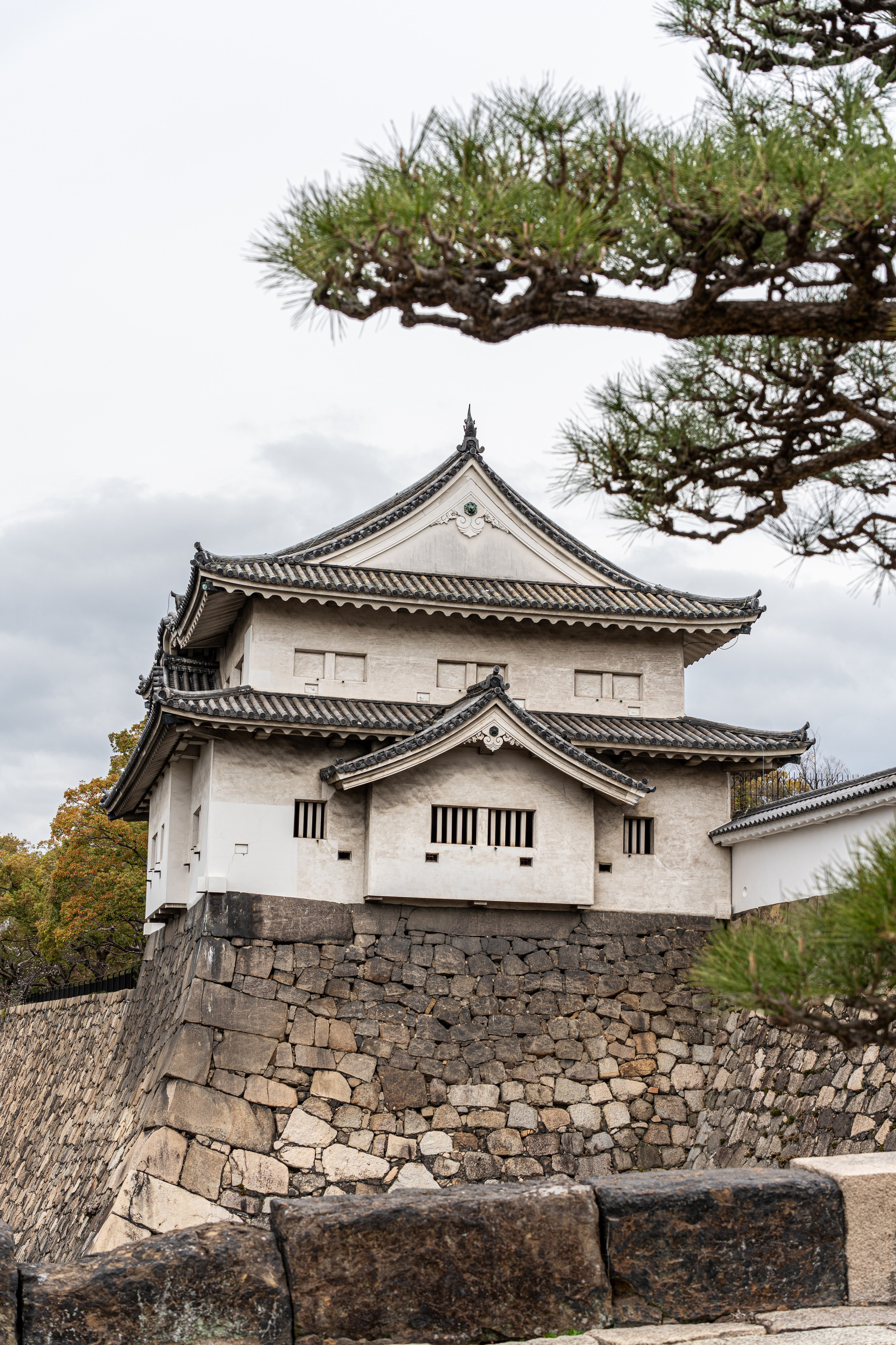 Япония, сакура. Творческие сьемки