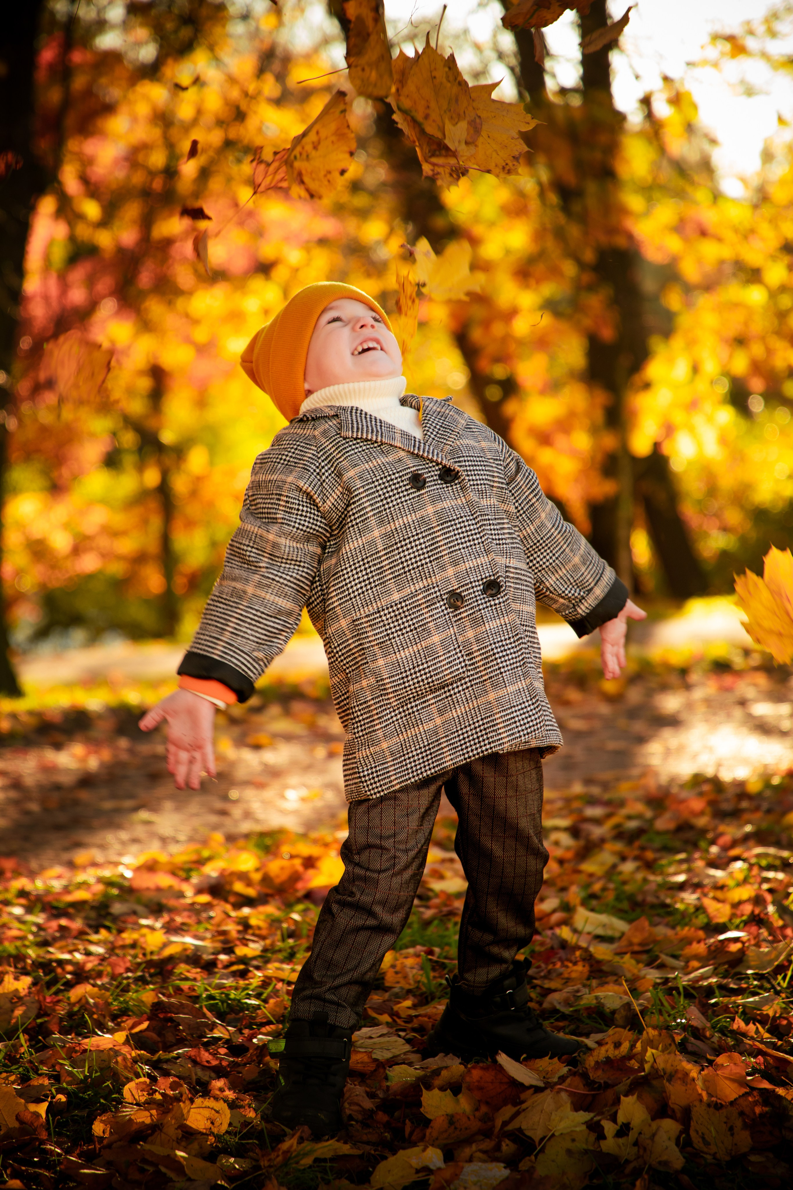 Осень. Фотограф Алексей Шуля — портфолио